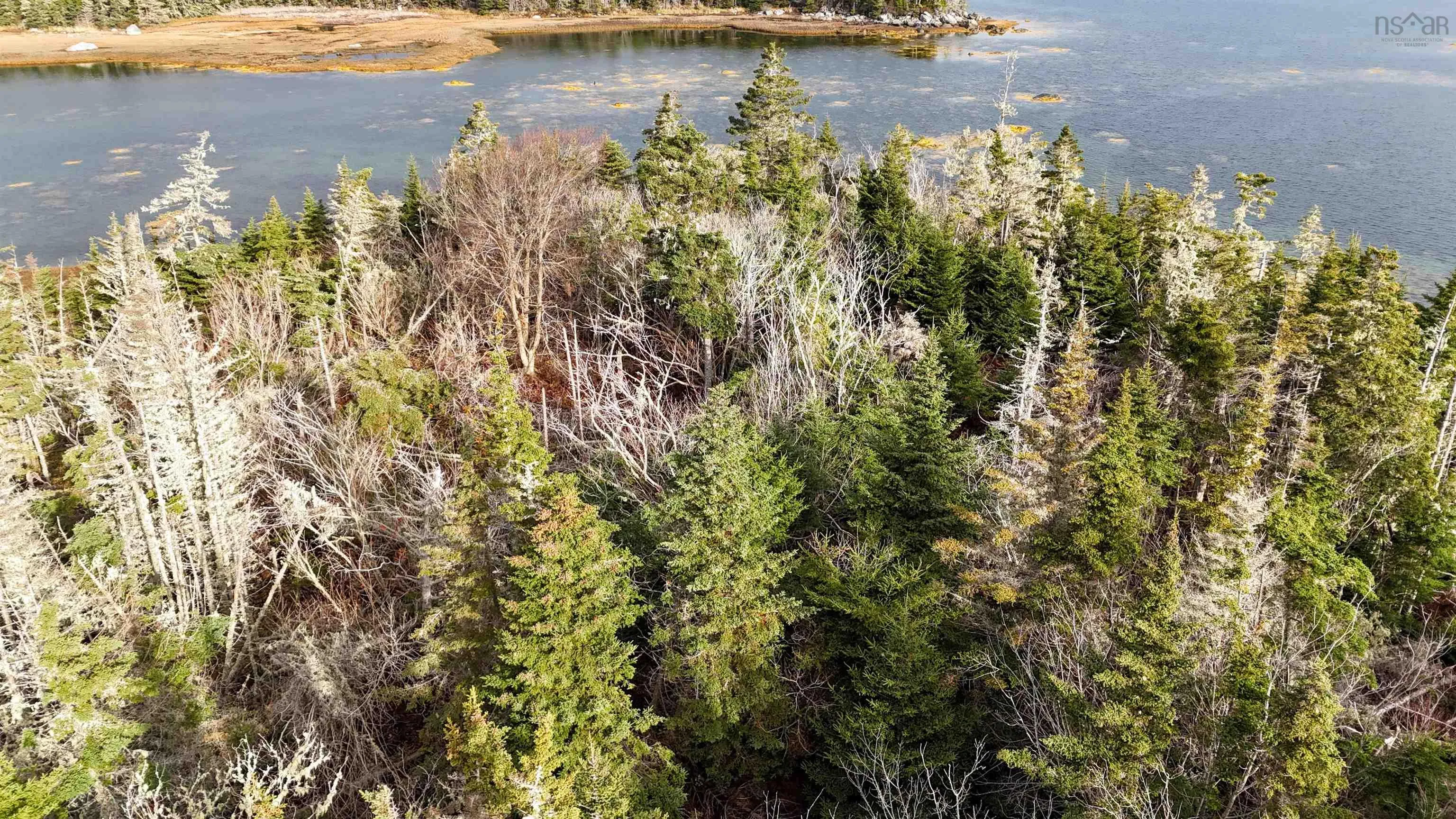 Little Militia Island, Bear Point, NS B0W 3B0, ,Land,For Sale,Little Militia Island,202521490