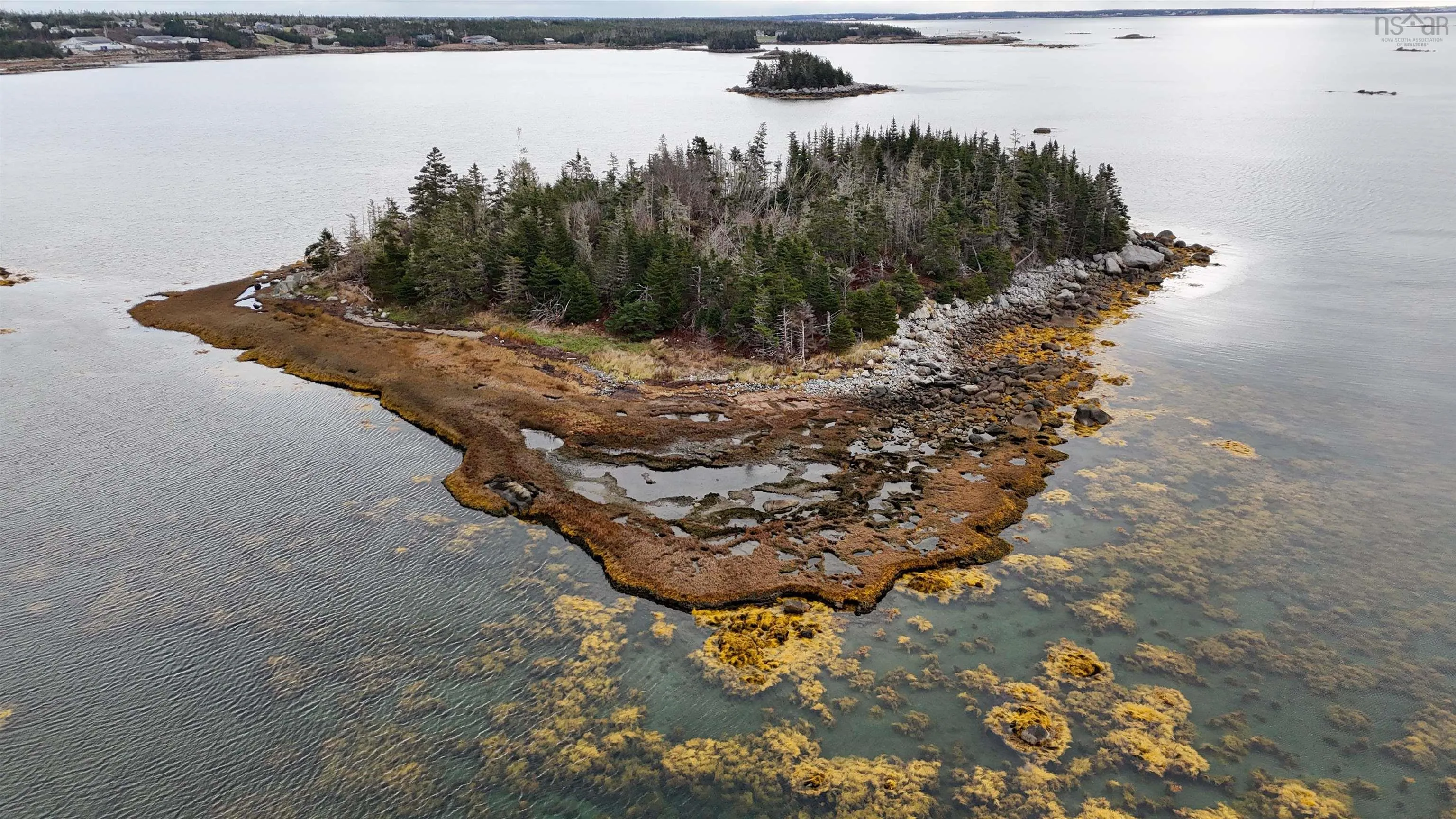 Little Militia Island, Bear Point, NS B0W 3B0, ,Land,For Sale,Little Militia Island,202521490