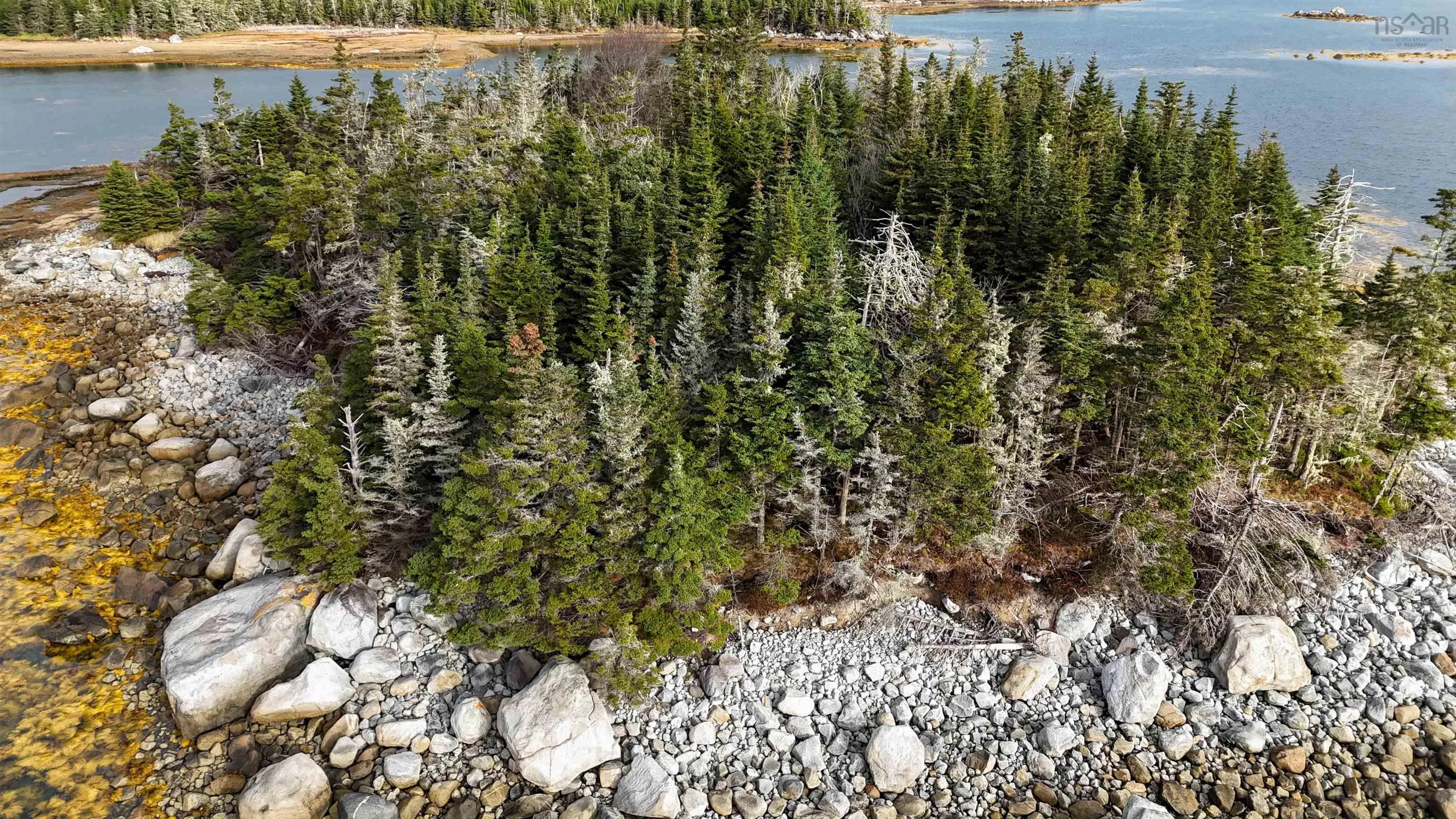 Little Militia Island, Bear Point, NS B0W 3B0, ,Land,For Sale,Little Militia Island,202521490
