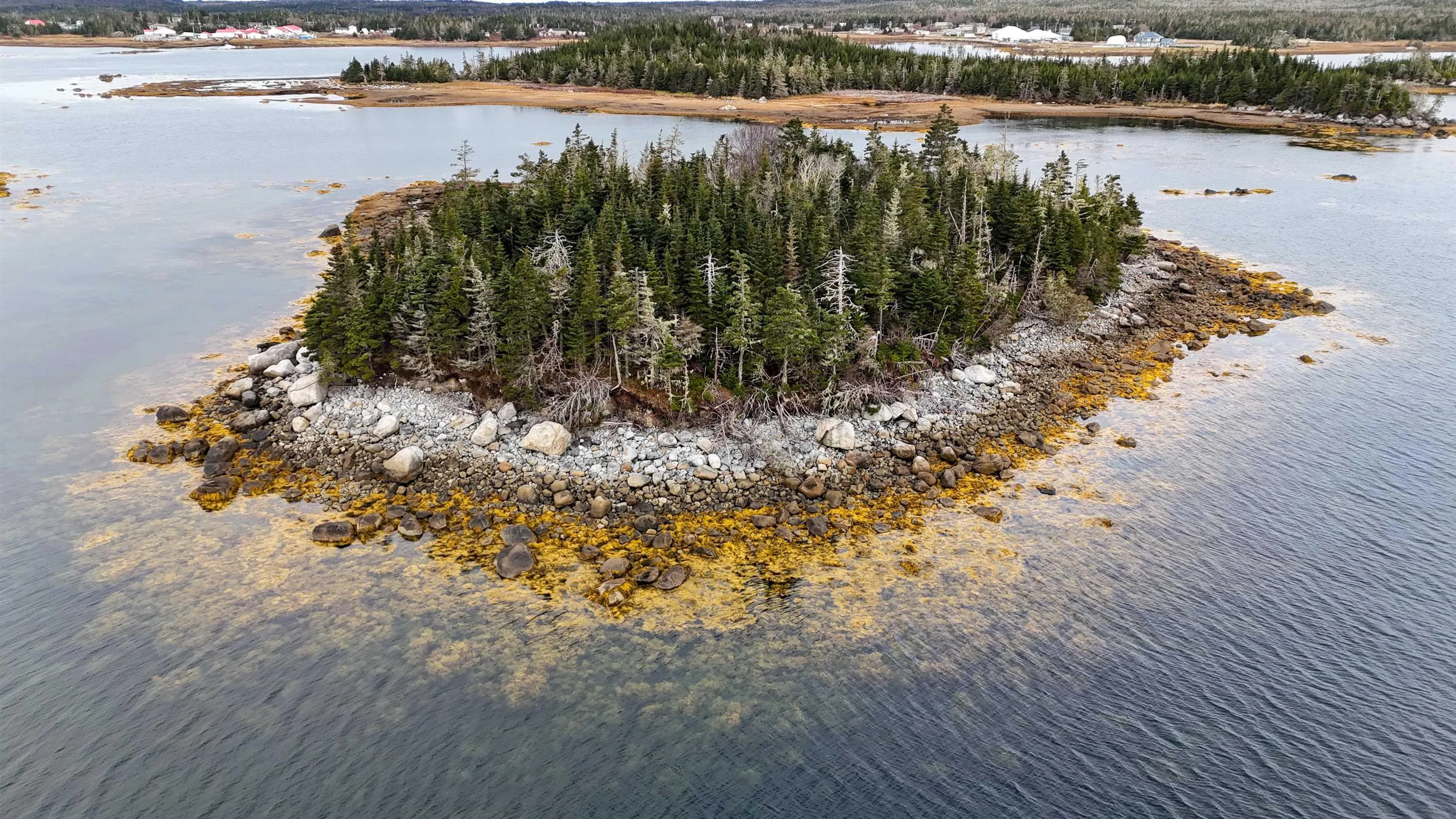 Little Militia Island, Bear Point, NS B0W 3B0, ,Land,For Sale,Little Militia Island,202521490