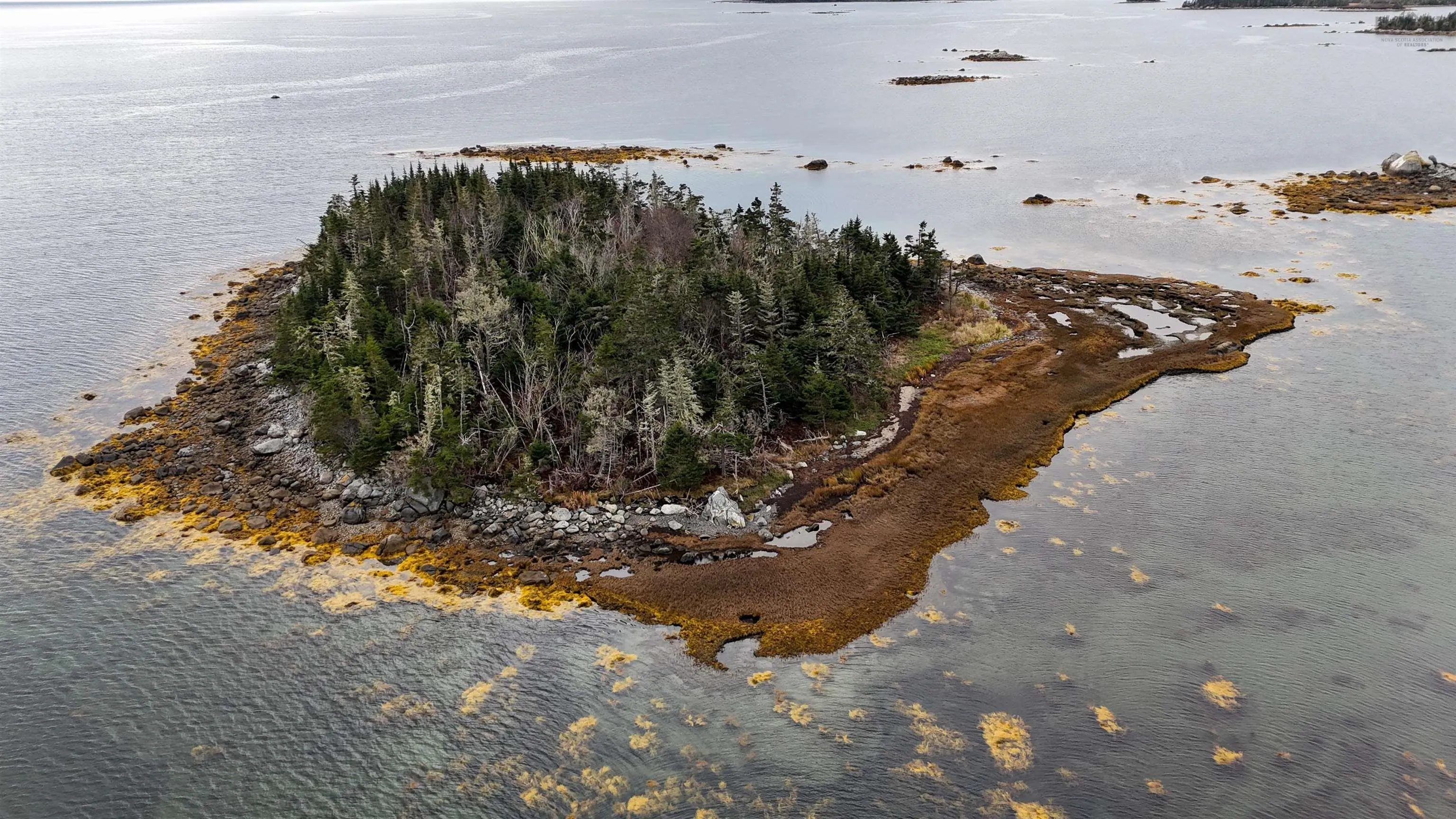 Little Militia Island, Bear Point, NS B0W 3B0, ,Land,For Sale,Little Militia Island,202521490