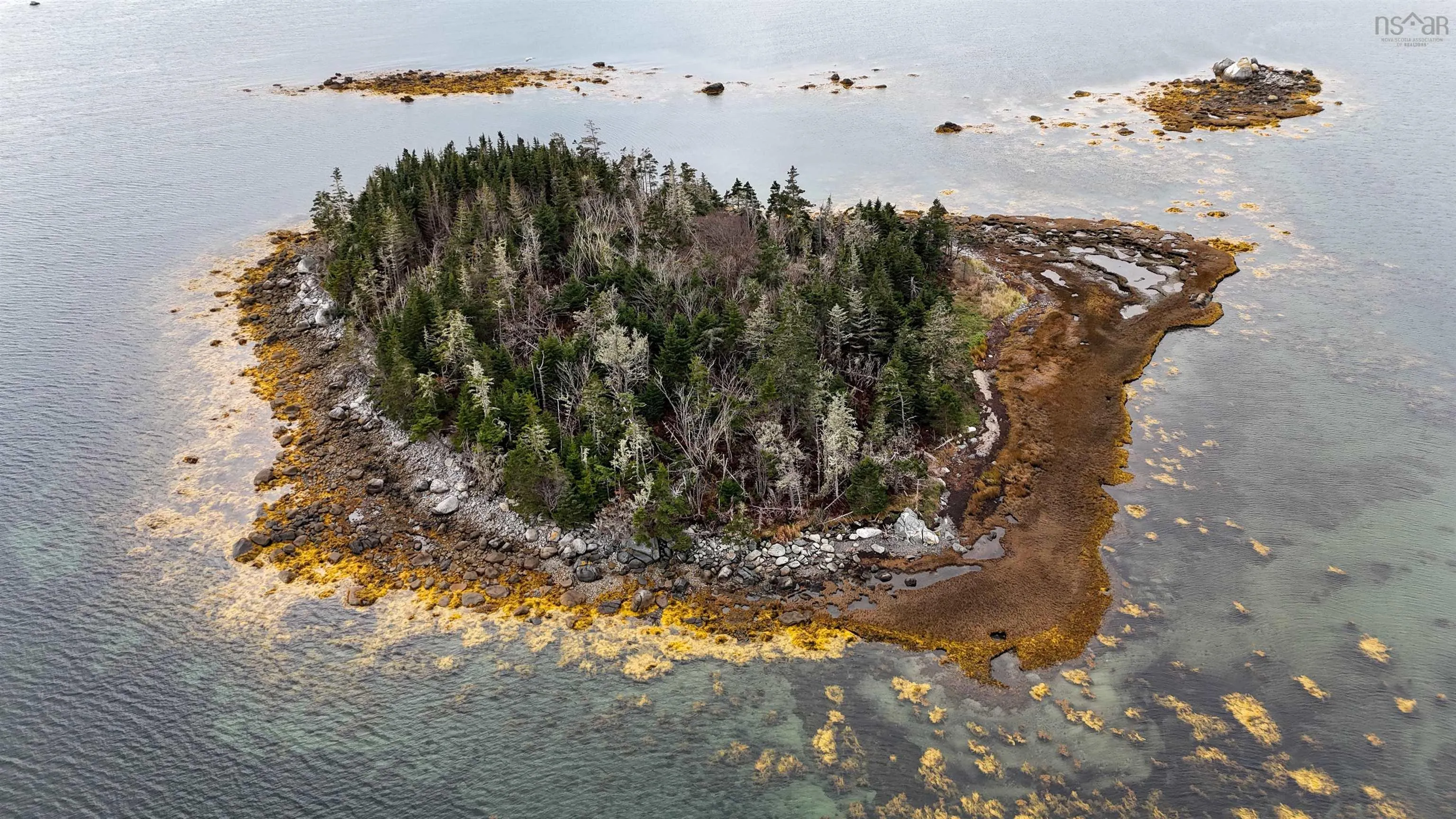 Little Militia Island, Bear Point, NS B0W 3B0, ,Land,For Sale,Little Militia Island,202521490