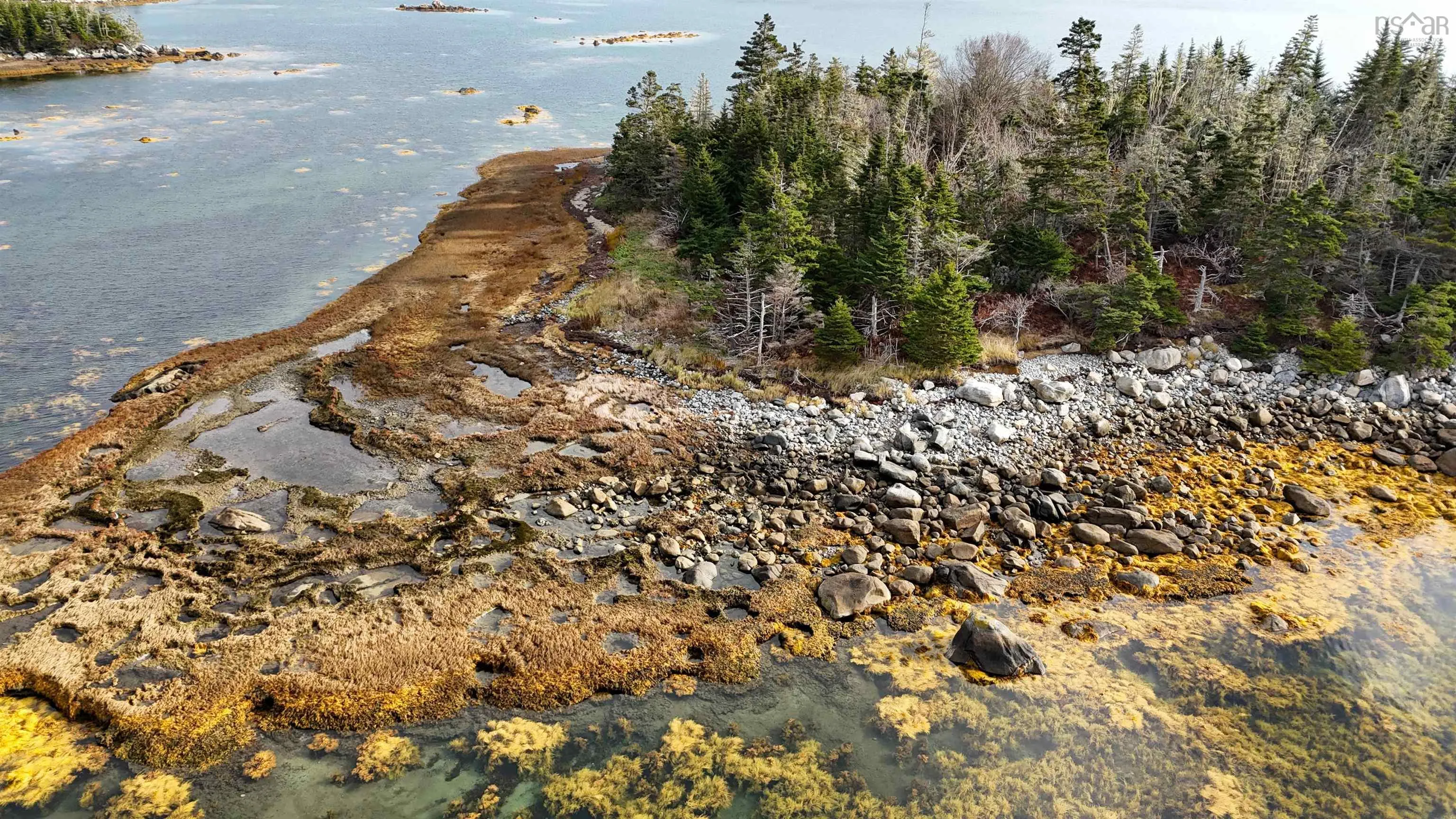 Little Militia Island, Bear Point, NS B0W 3B0, ,Land,For Sale,Little Militia Island,202521490