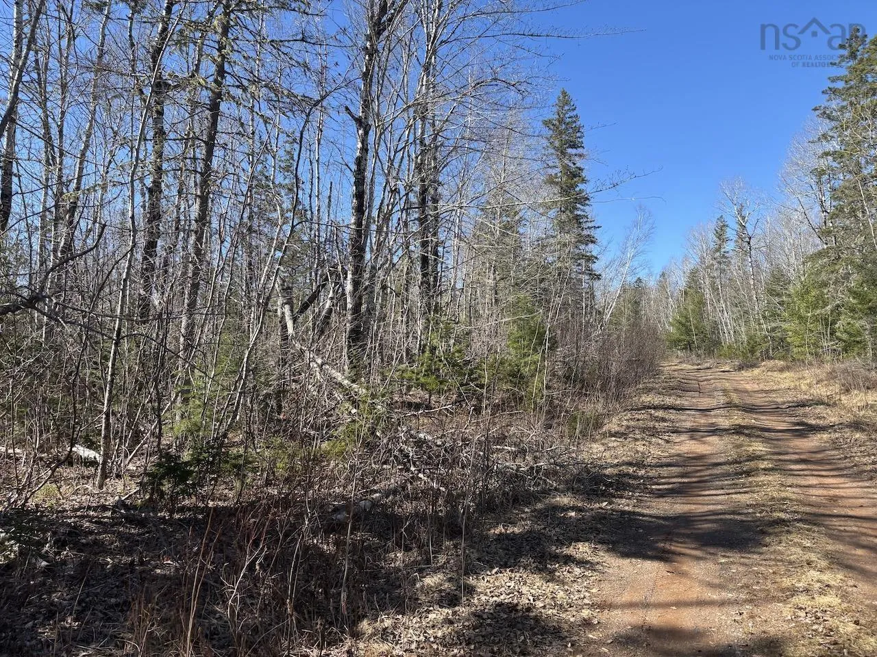 Black Lake, No 4 Highway, Black Lake Ns B0m 1x0, ,Land,For Sale,Black Lake, No 104,202507659