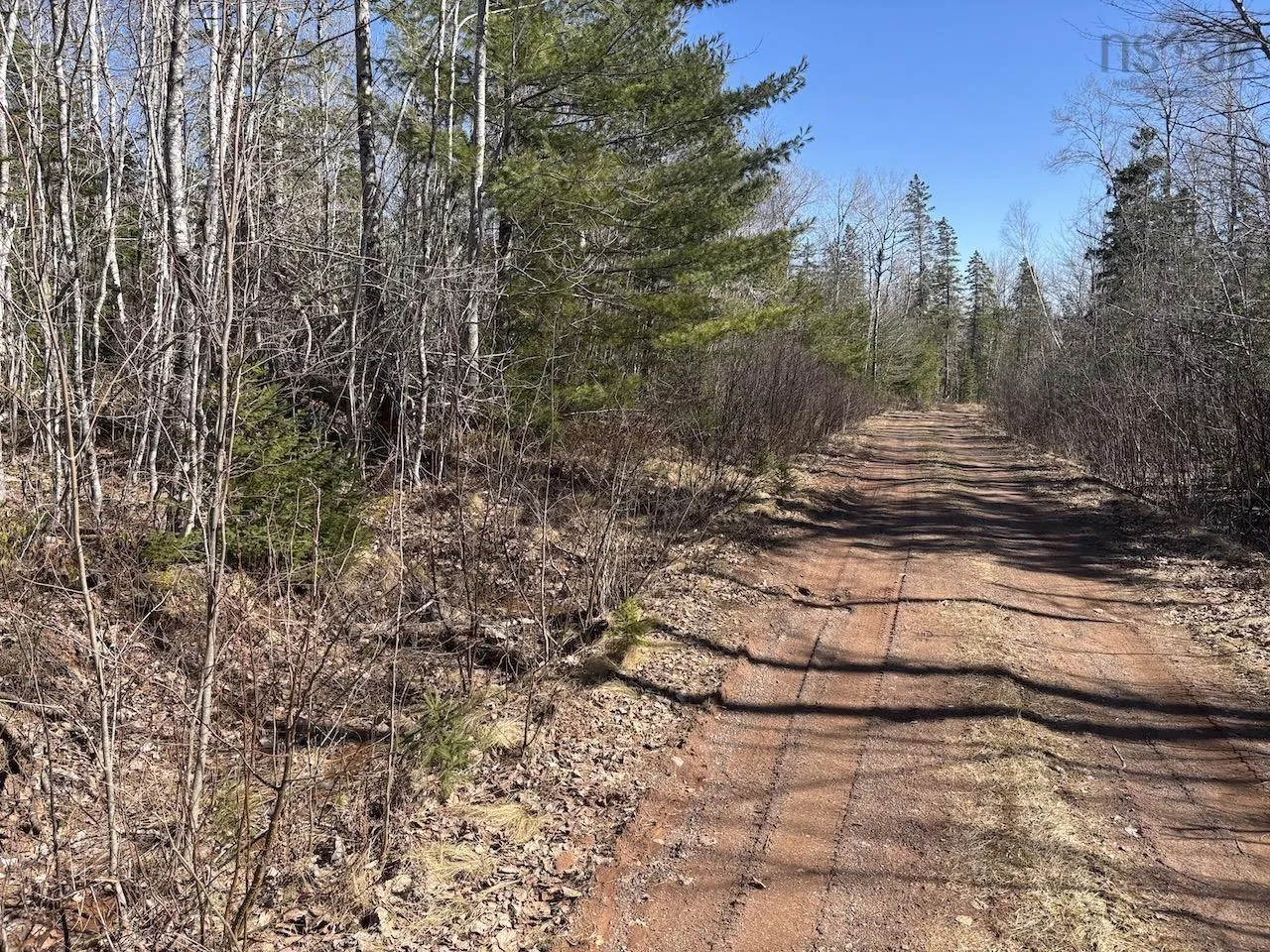 Black Lake, No 4 Highway, Black Lake Ns B0m 1x0, ,Land,For Sale,Black Lake, No 104,202507659