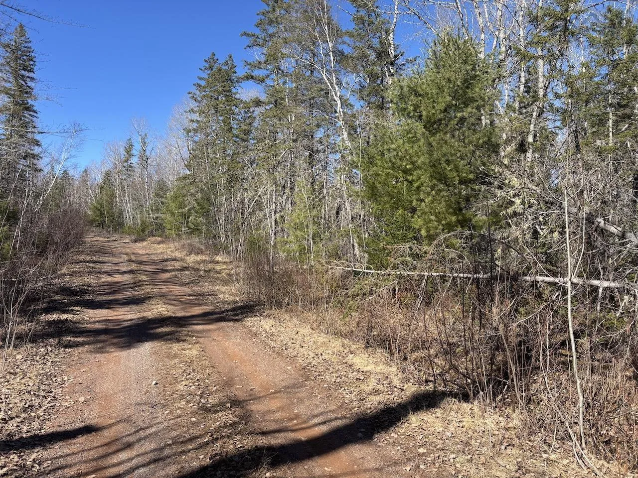 Black Lake, No 4 Highway, Black Lake Ns B0m 1x0, ,Land,For Sale,Black Lake, No 104,202507659