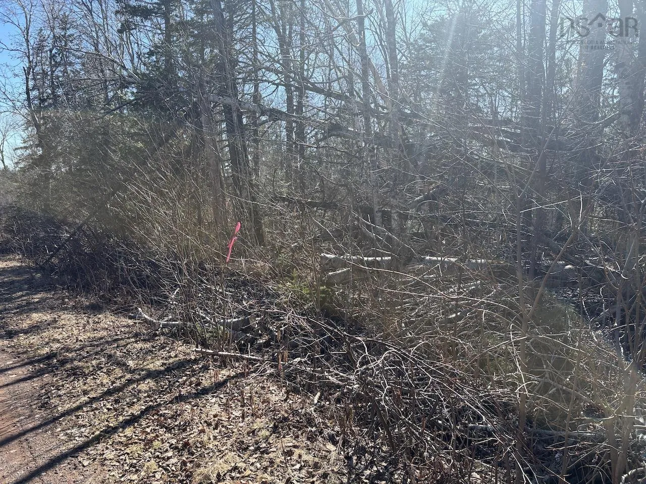 Black Lake, No 4 Highway, Black Lake Ns B0m 1x0, ,Land,For Sale,Black Lake, No 104,202507659
