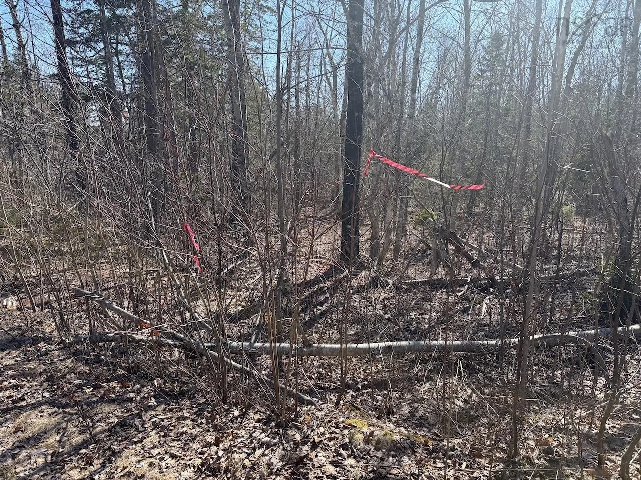 Black Lake, No 4 Highway, Black Lake Ns B0m 1x0, ,Land,For Sale,Black Lake, No 104,202507659