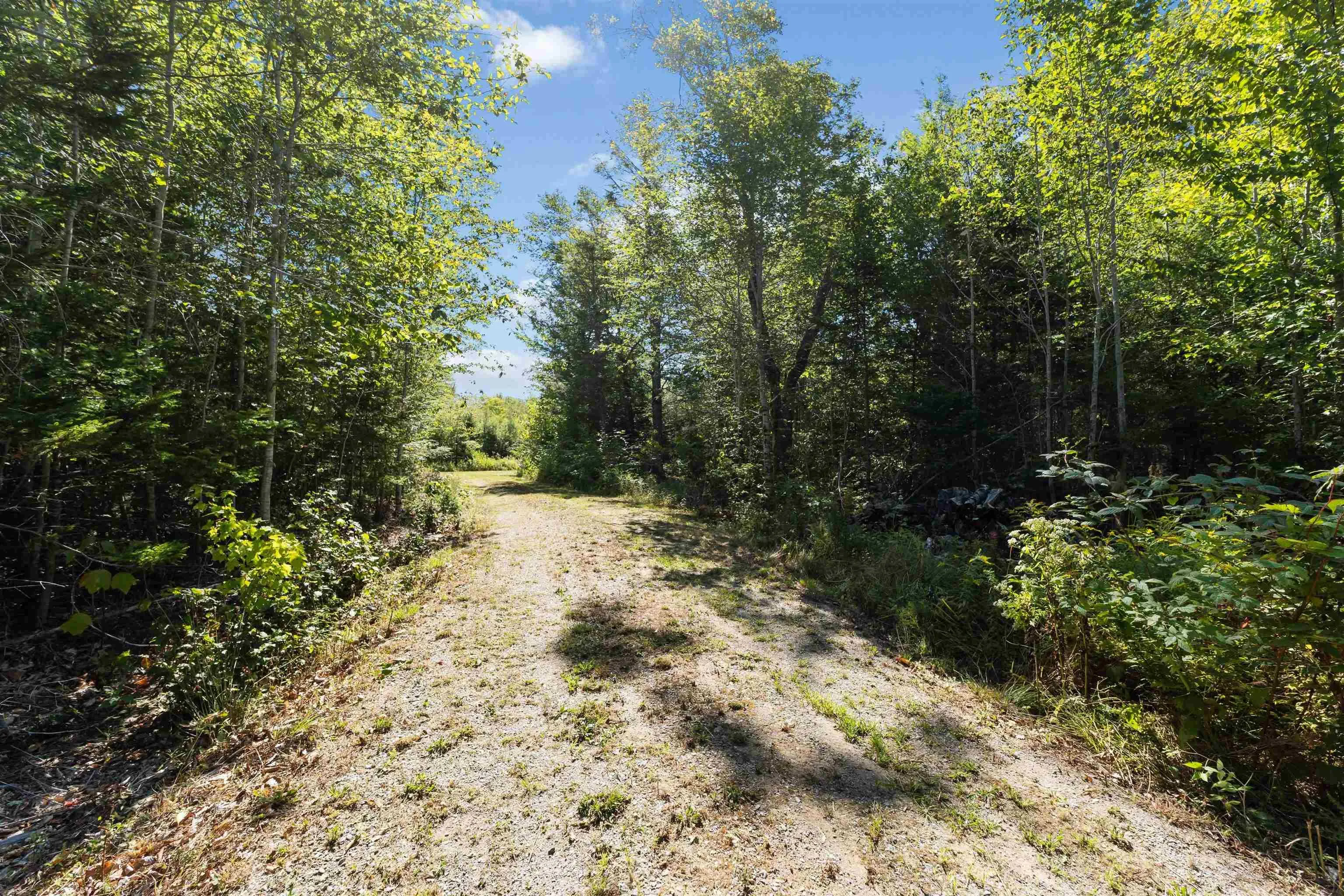 Sissiboo Road Lot 2, South Range, NS B0W 1H0, ,Land,For Sale,Sissiboo,202522457