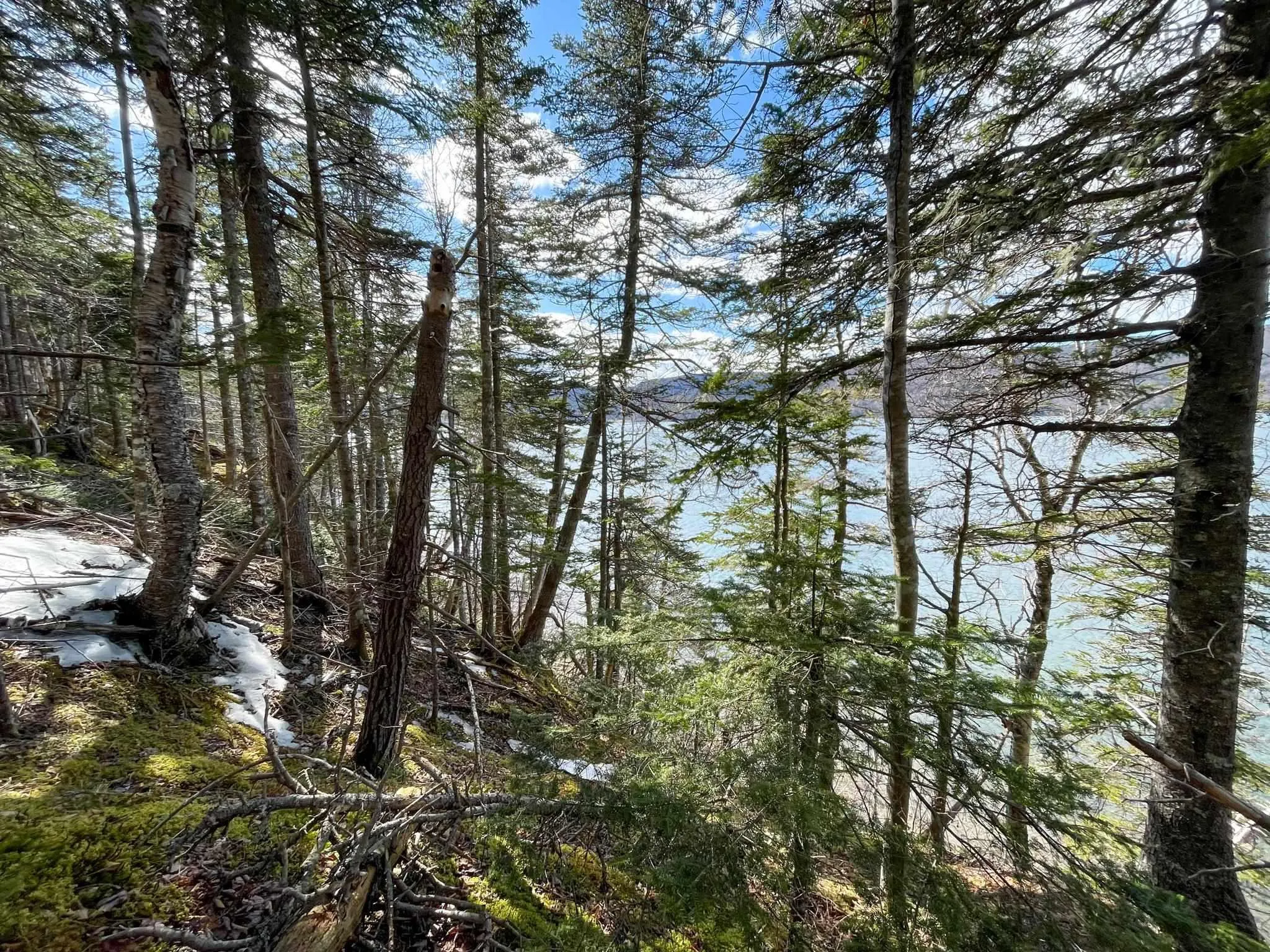 590 Tc 105 Highway, Boularderie East, NS B1X 1Y8, ,Land,For Sale,Tc 105,202520037
