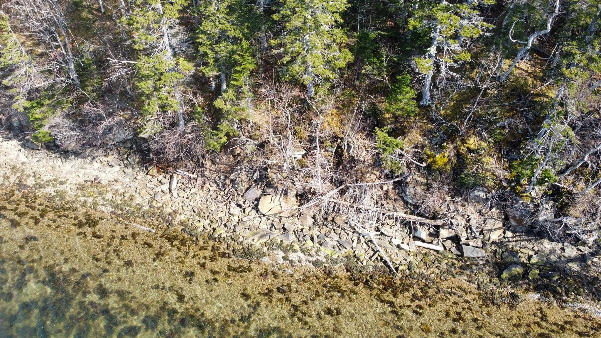 590 Tc 105 Highway, Boularderie East, NS B1X 1Y8, ,Land,For Sale,Tc 105,202520037