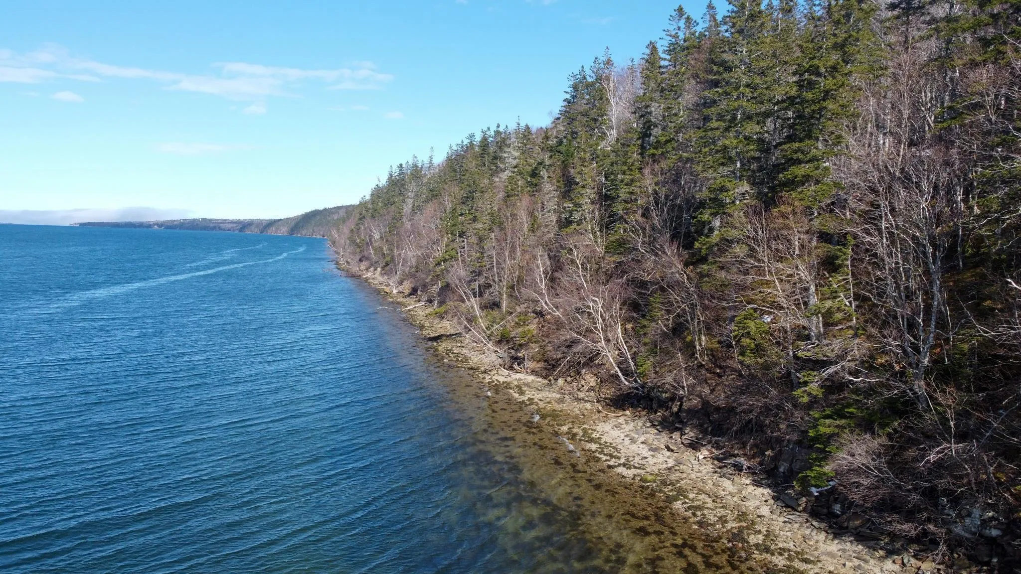590 Tc 105 Highway, Boularderie East, NS B1X 1Y8, ,Land,For Sale,Tc 105,202520037