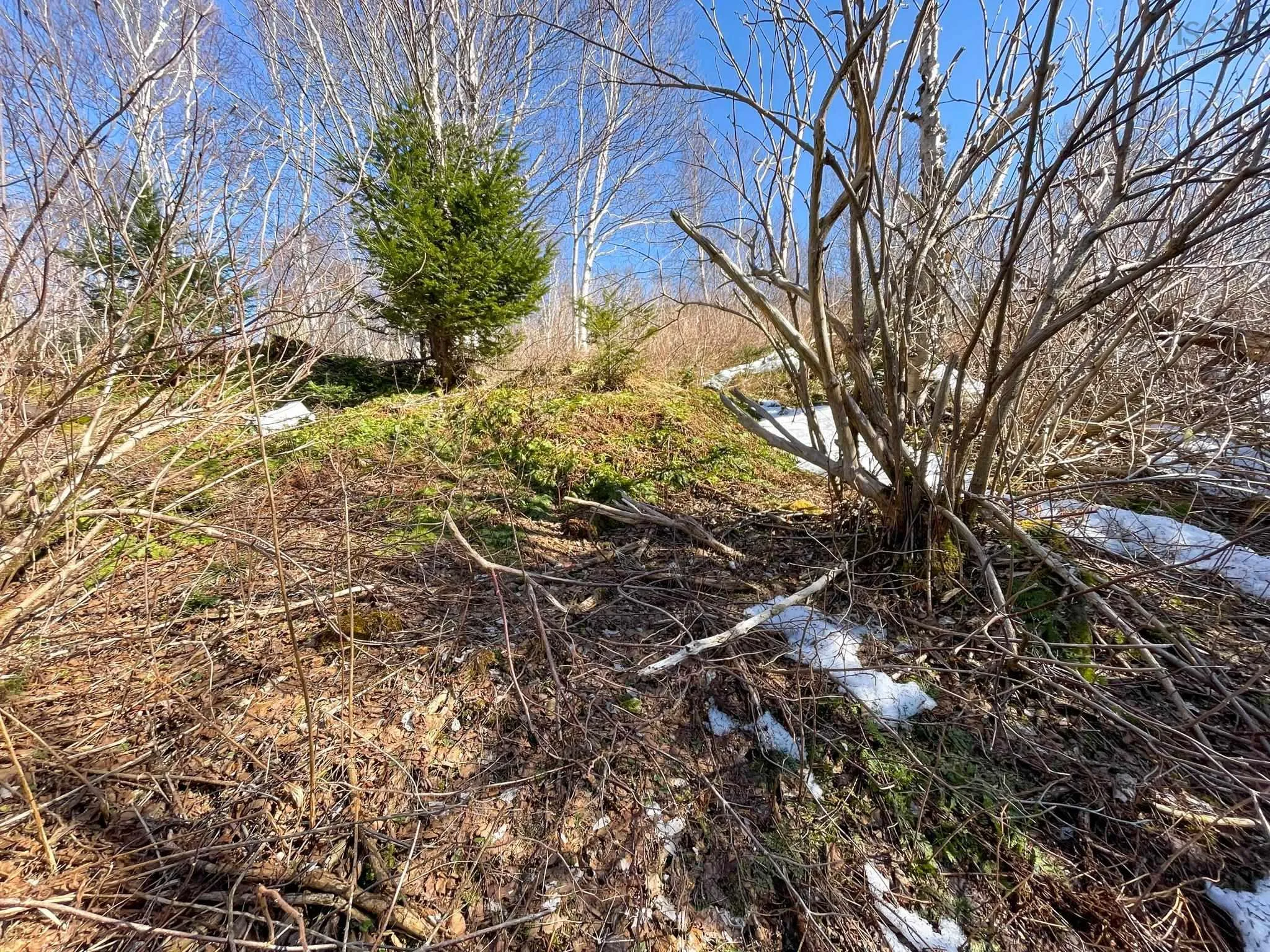 590 Tc 105 Highway, Boularderie East, NS B1X 1Y8, ,Land,For Sale,Tc 105,202520037