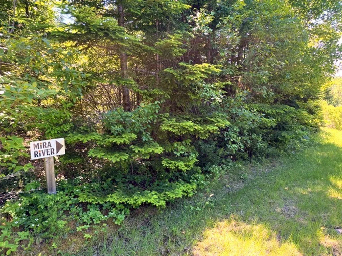 74 Jack Daniels Lane, Juniper Mountain Ns B1k 0c2, ,4 BathroomsBathrooms,Residential,For Sale,Jack Daniels Lane,202509792