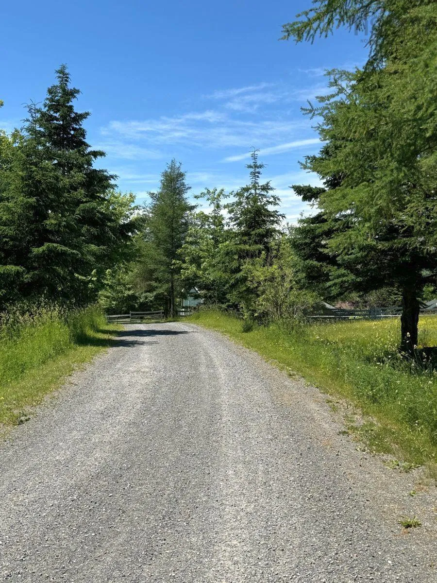 74 Jack Daniels Lane, Juniper Mountain Ns B1k 0c2, ,4 BathroomsBathrooms,Residential,For Sale,Jack Daniels Lane,202509792