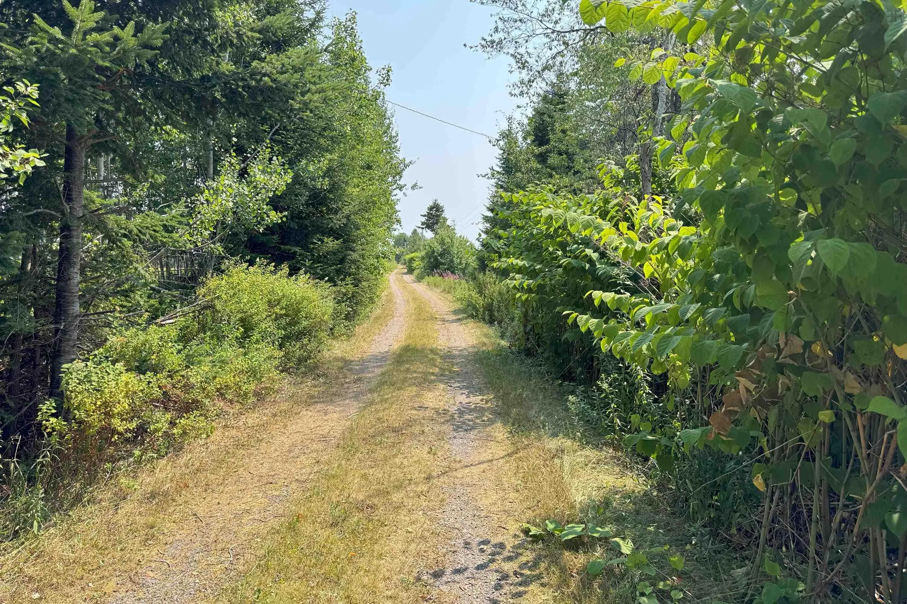 10217 Highway 209, Diligent River, NS B0M 1S0, 4 Bedrooms Bedrooms, ,1 BathroomBathrooms,Residential,For Sale,Highway 209,202519642