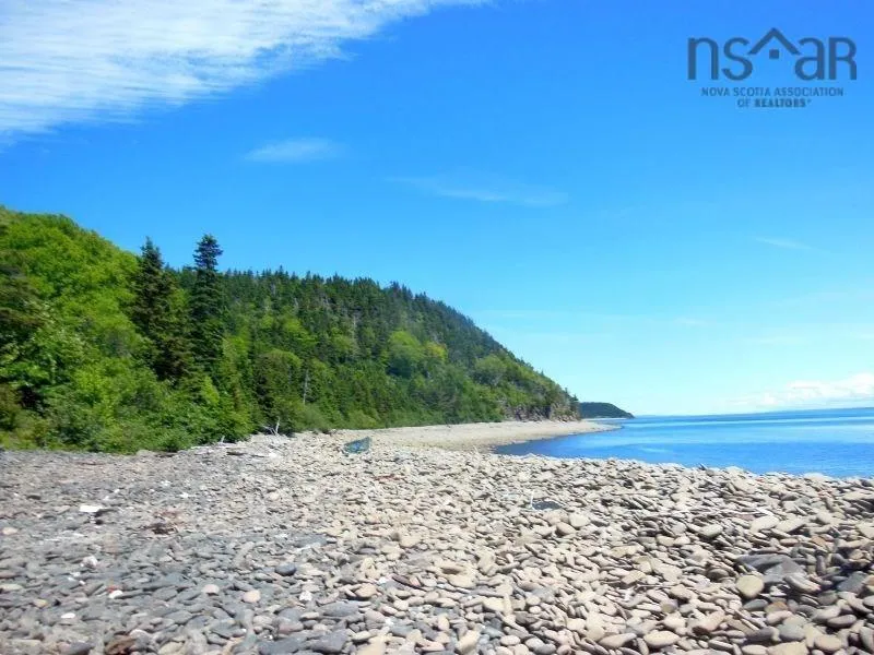 #217 Highway, Tiddville, NS B0V 1E0, ,Land,For Sale,#217,202520542