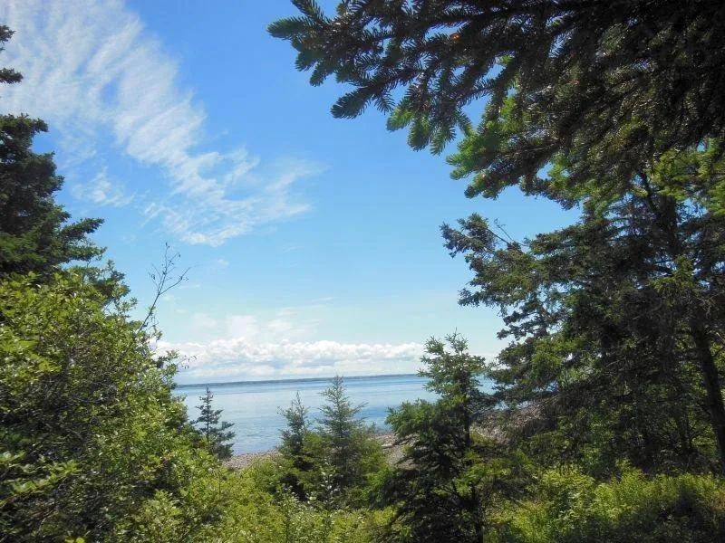 #217 Highway, Tiddville, NS B0V 1E0, ,Land,For Sale,#217,202520542