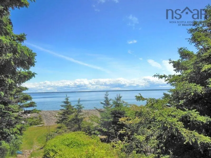 #217 Highway, Tiddville, NS B0V 1E0, ,Land,For Sale,#217,202520542