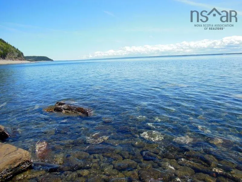 #217 Highway, Tiddville, NS B0V 1E0, ,Land,For Sale,#217,202520542