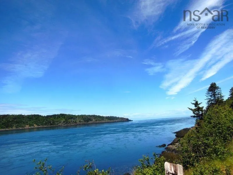 #217 Highway, Tiddville, NS B0V 1E0, ,Land,For Sale,#217,202520542