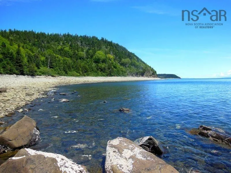 #217 Highway, Tiddville, NS B0V 1E0, ,Land,For Sale,#217,202520542