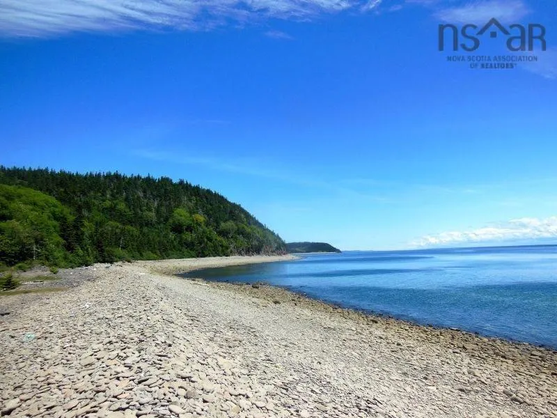 #217 Highway, Tiddville, NS B0V 1E0, ,Land,For Sale,#217,202520542