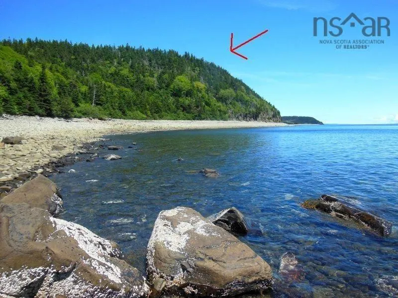 #217 Highway, Tiddville, NS B0V 1E0, ,Land,For Sale,#217,202520542