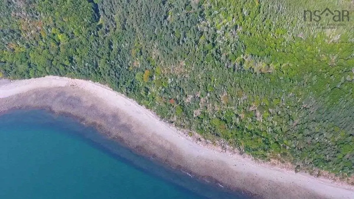 #217 Highway, Tiddville, NS B0V 1E0, ,Land,For Sale,#217,202520542