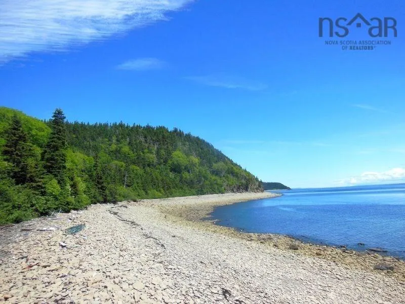 #217 Highway, Tiddville, NS B0V 1E0, ,Land,For Sale,#217,202520542