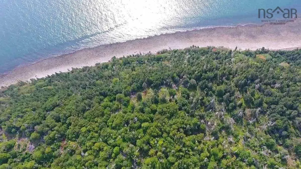 #217 Highway, Tiddville, NS B0V 1E0, ,Land,For Sale,#217,202520542