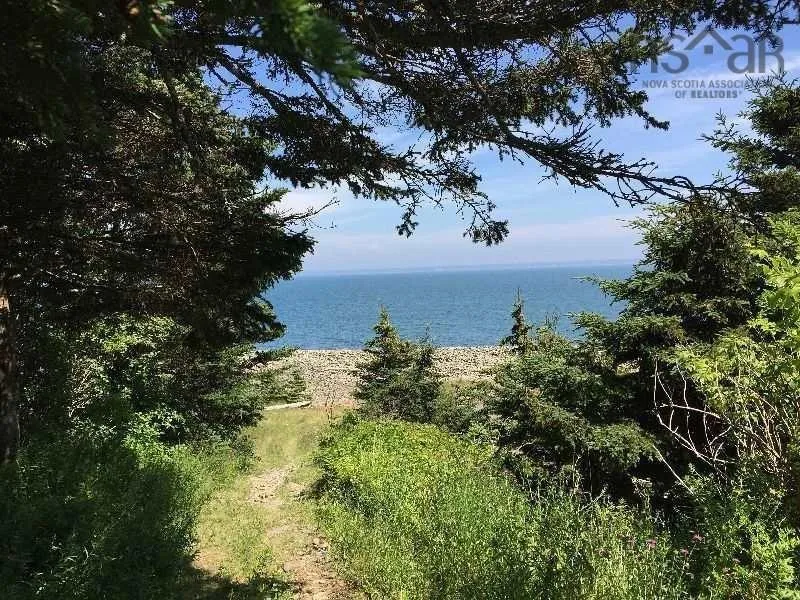 #217 Highway, Tiddville, NS B0V 1E0, ,Land,For Sale,#217,202520542