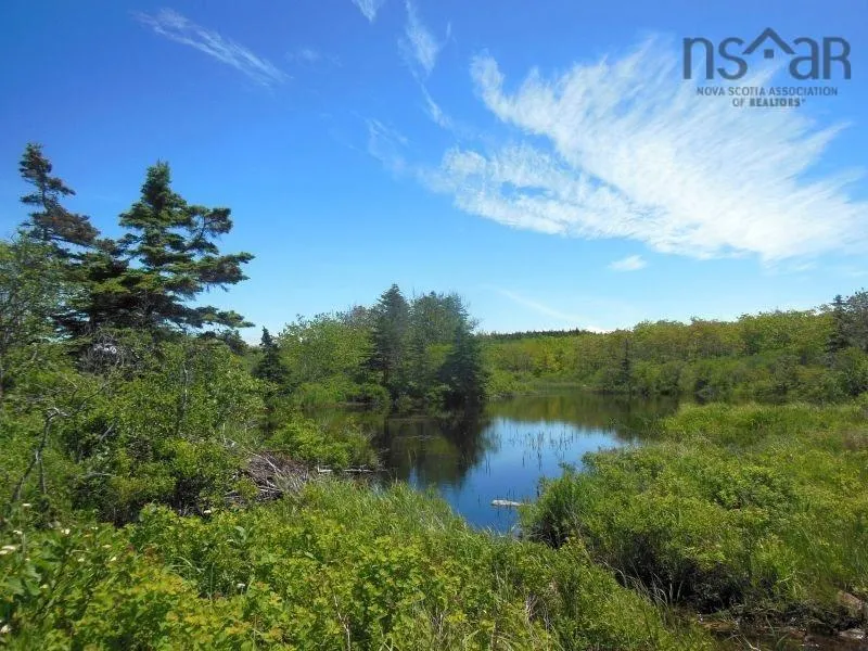 #217 Highway, Tiddville, NS B0V 1E0, ,Land,For Sale,#217,202520542