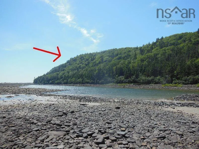 #217 Highway, Tiddville, NS B0V 1E0, ,Land,For Sale,#217,202520542