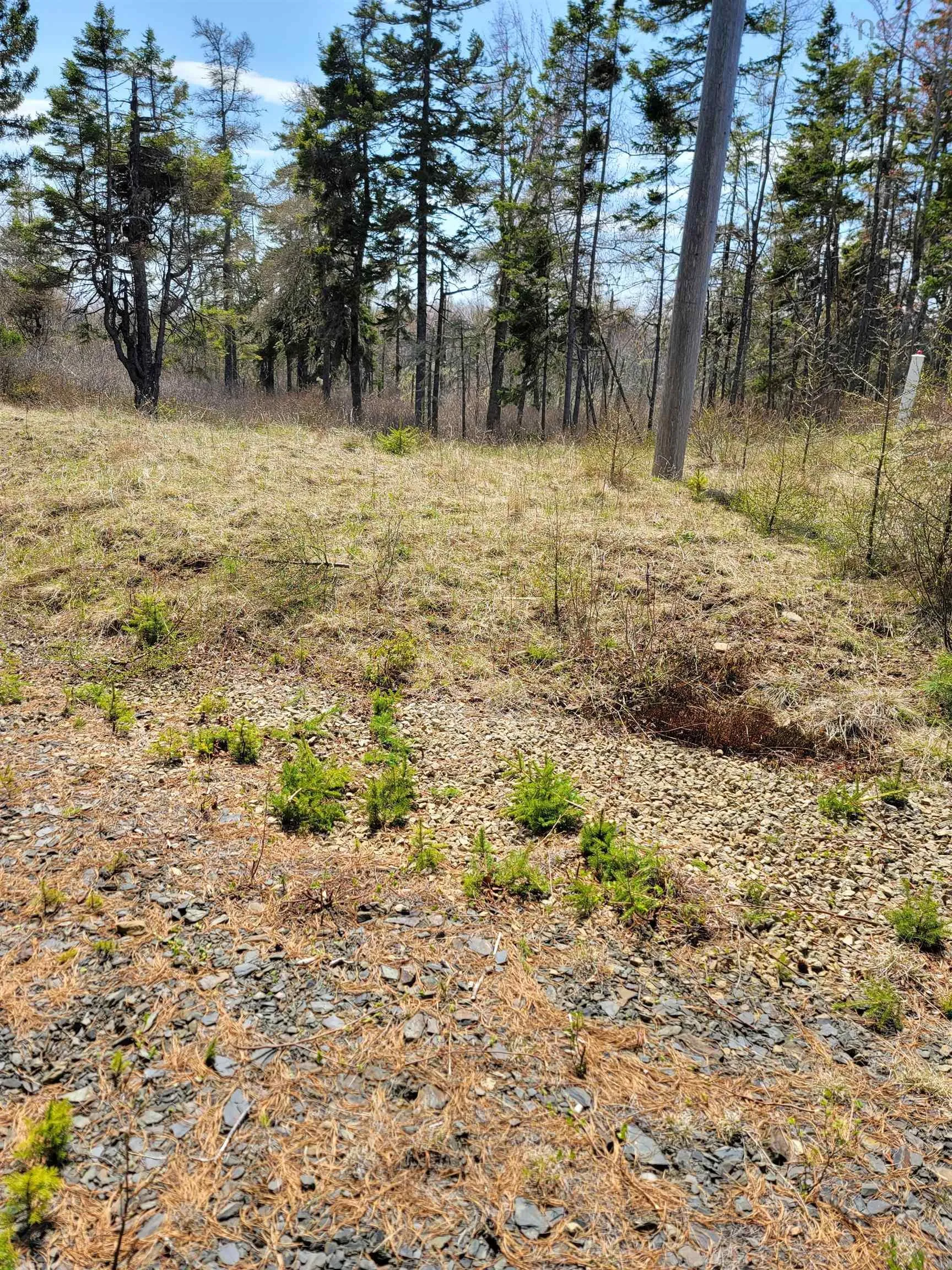 Lot 1 Feltzen South Road, Bayport Ns B0j 2x0, ,Land,For Sale,Feltzen South,202308798