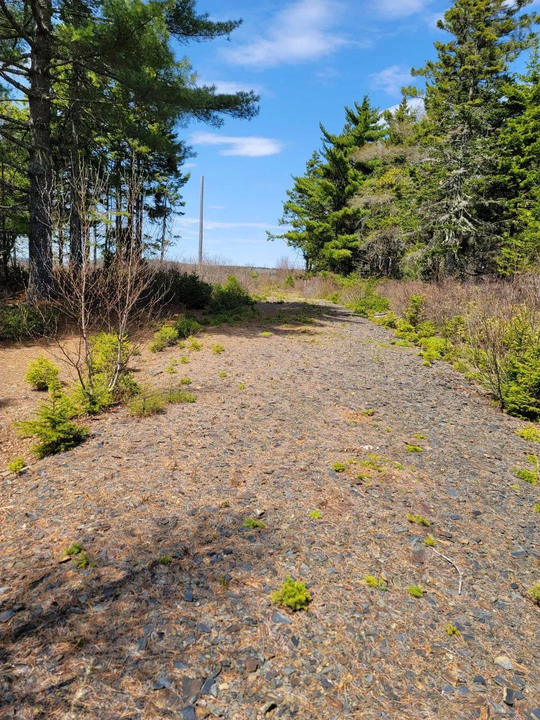 Lot 1 Feltzen South Road, Bayport Ns B0j 2x0, ,Land,For Sale,Feltzen South,202308798