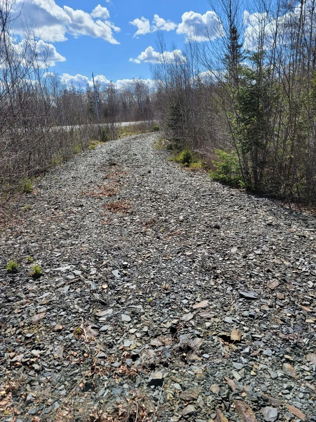 Lot 1 Feltzen South Road, Bayport Ns B0j 2x0, ,Land,For Sale,Feltzen South,202308798