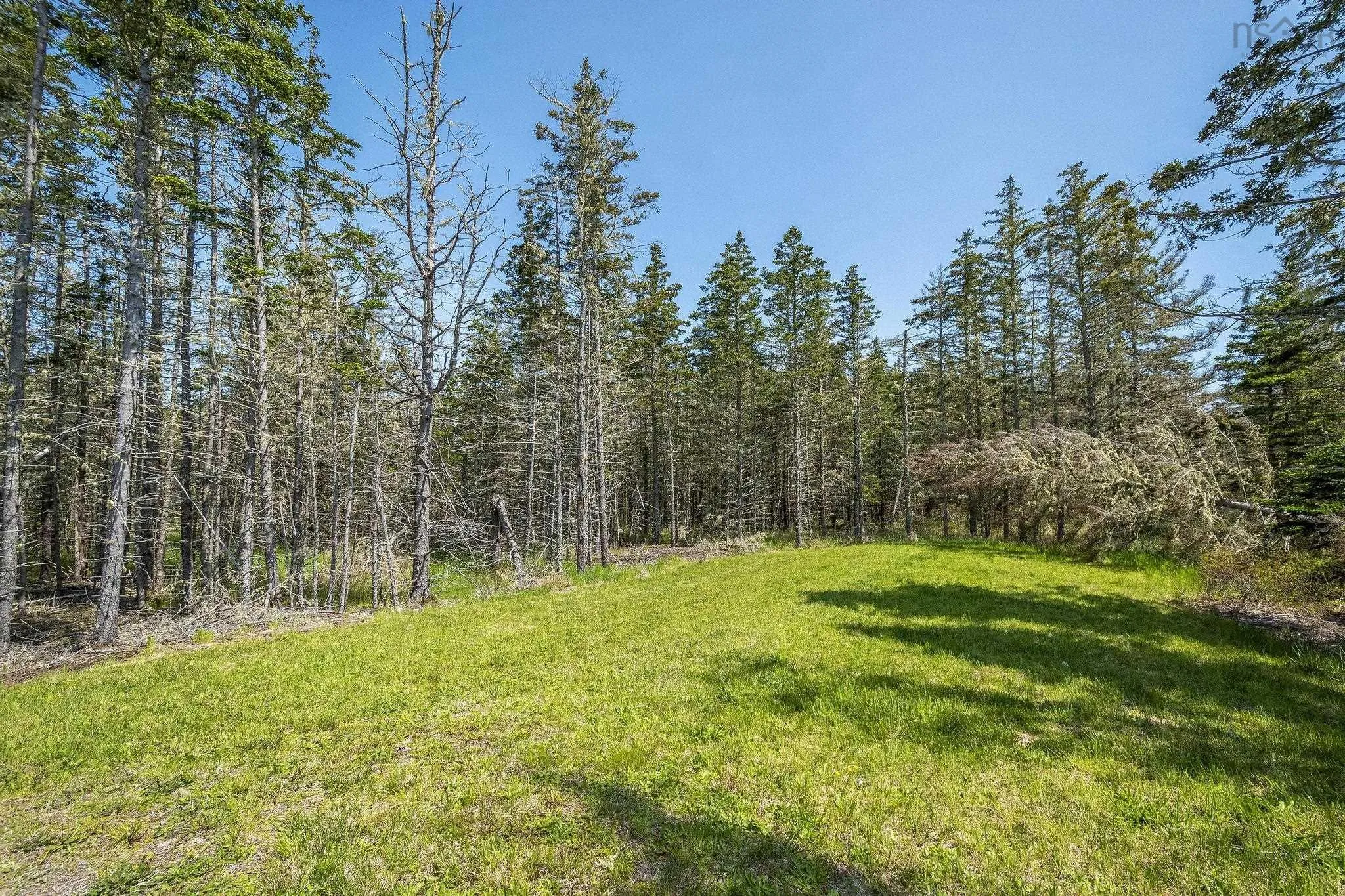 70 Seaside Drive, Louis Head, NS B0T 1W0, 2 Bedrooms Bedrooms, ,1 BathroomBathrooms,Residential,For Sale,Seaside,202513599