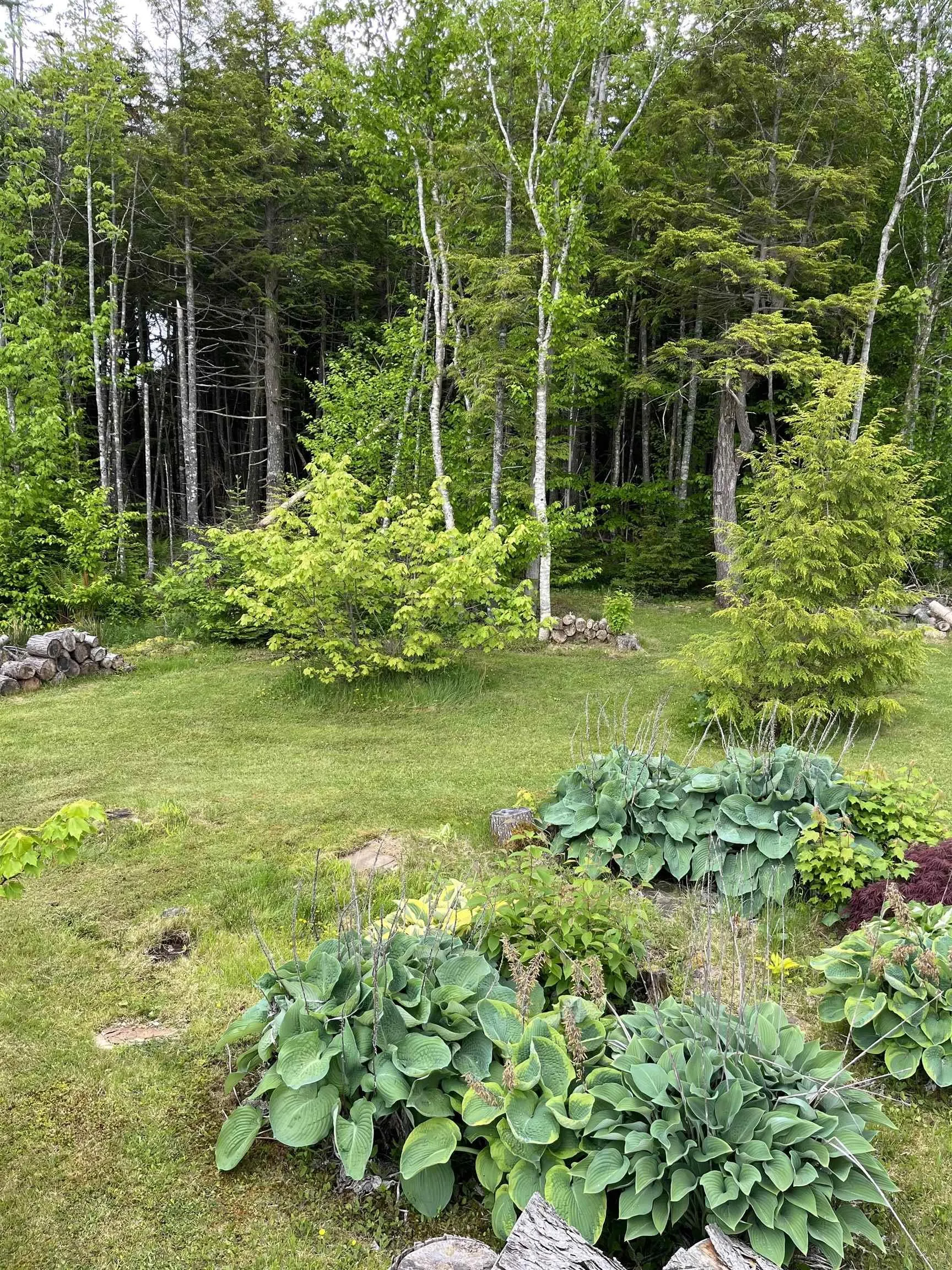 74 Sunrise Drive, Georges River, NS B1Y 3B8, 4 Bedrooms Bedrooms, ,3 BathroomsBathrooms,Residential,For Sale,Sunrise Drive,202520010