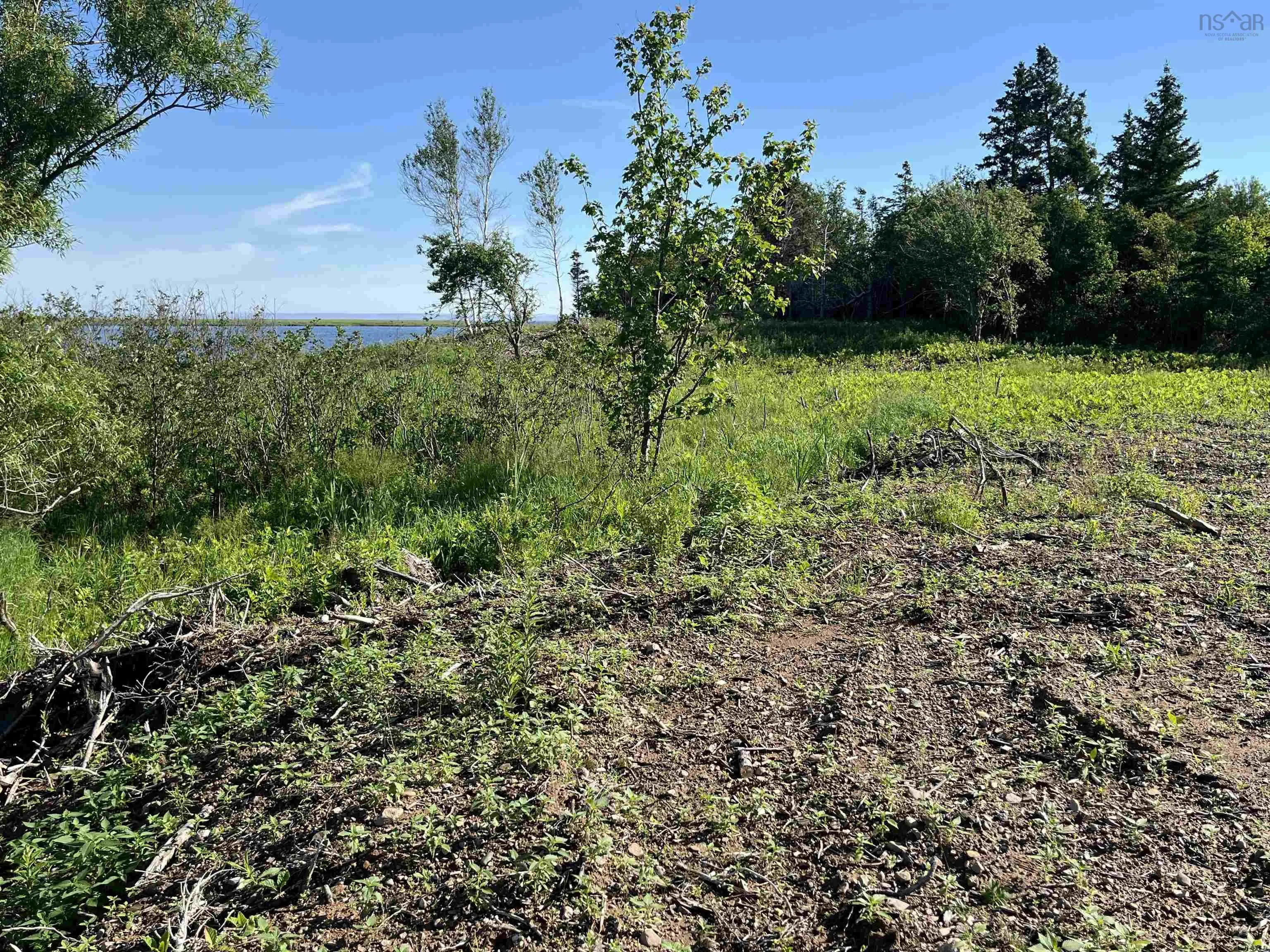 Lot 11-1z Galt Pond Road, Lower Barneys River Ns B0k 1g0, ,Land,For Sale,Galt Pond,202505764