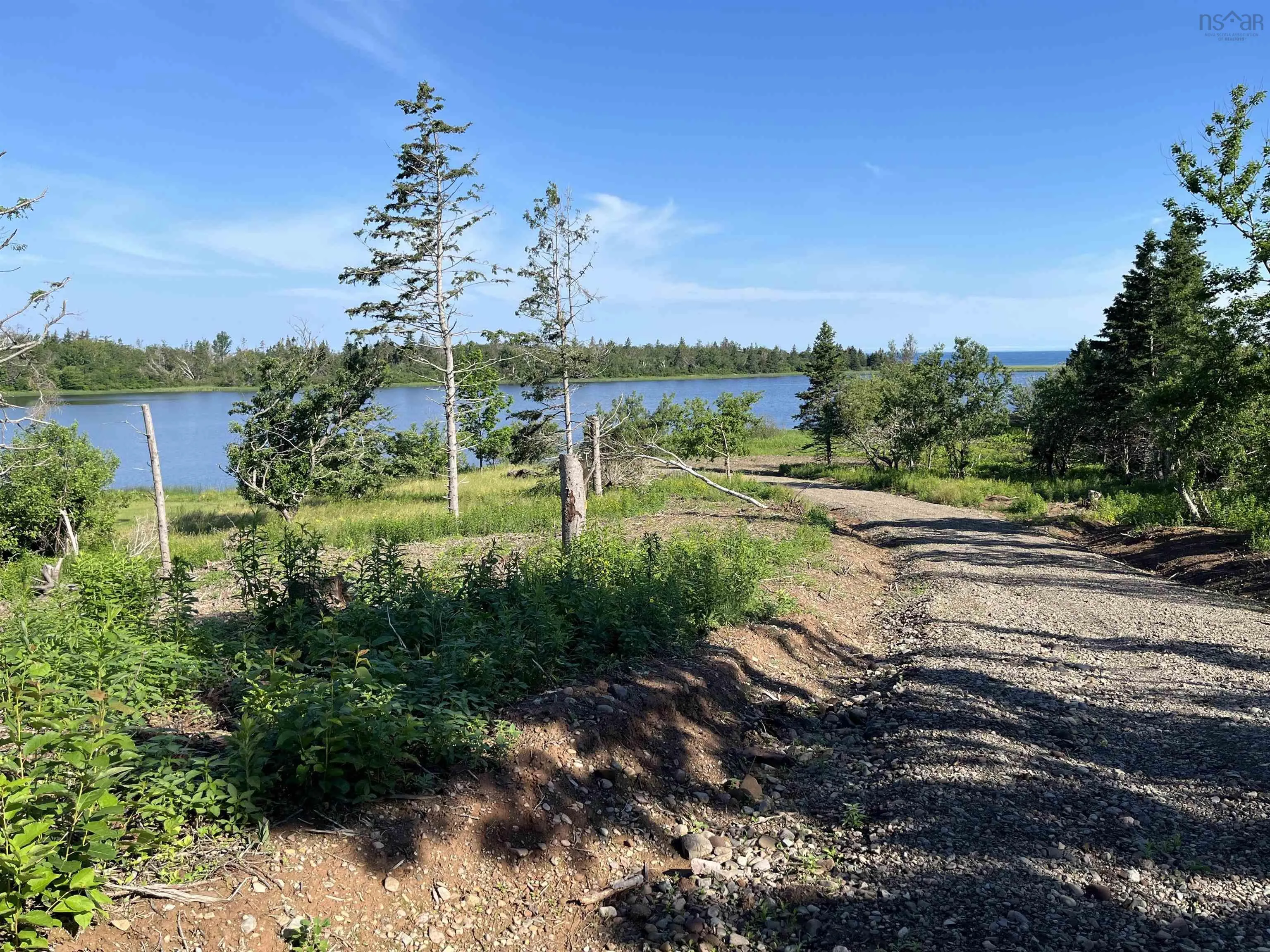 Lot 11-1z Galt Pond Road, Lower Barneys River Ns B0k 1g0, ,Land,For Sale,Galt Pond,202505764