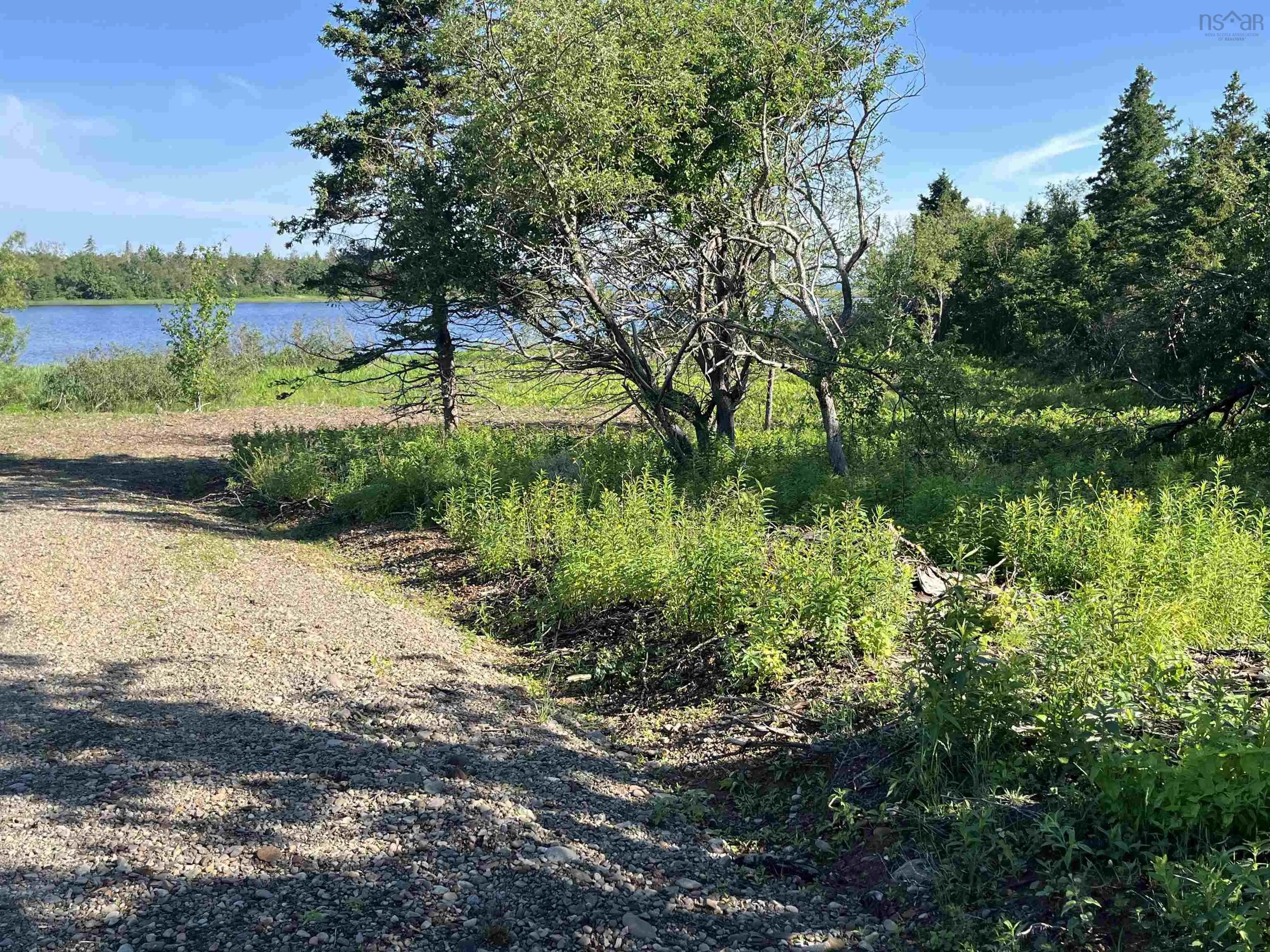 Lot 11-1z Galt Pond Road, Lower Barneys River Ns B0k 1g0, ,Land,For Sale,Galt Pond,202505764