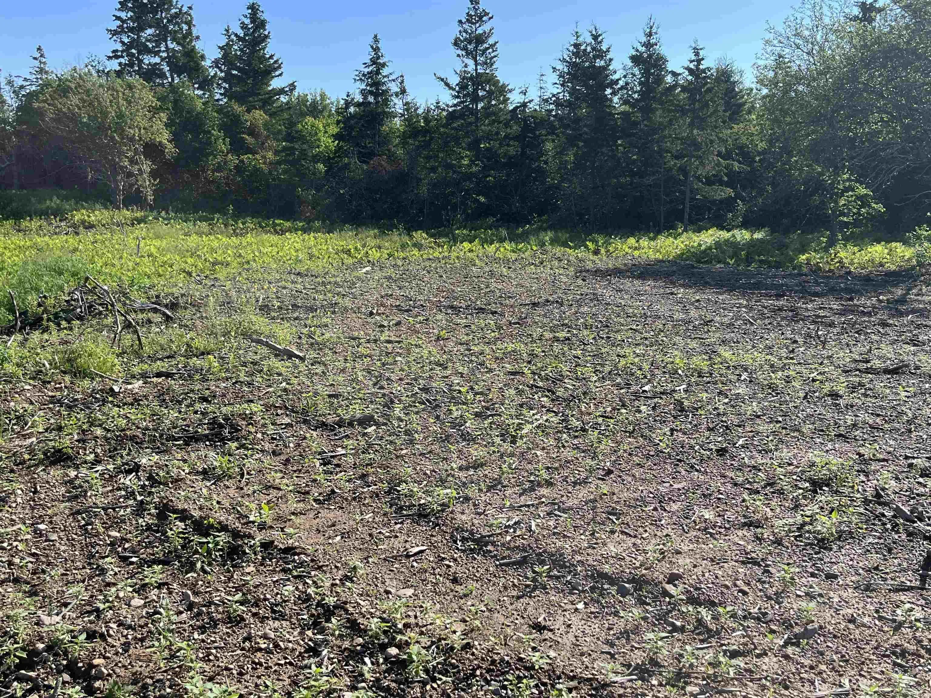 Lot 11-1z Galt Pond Road, Lower Barneys River Ns B0k 1g0, ,Land,For Sale,Galt Pond,202505764