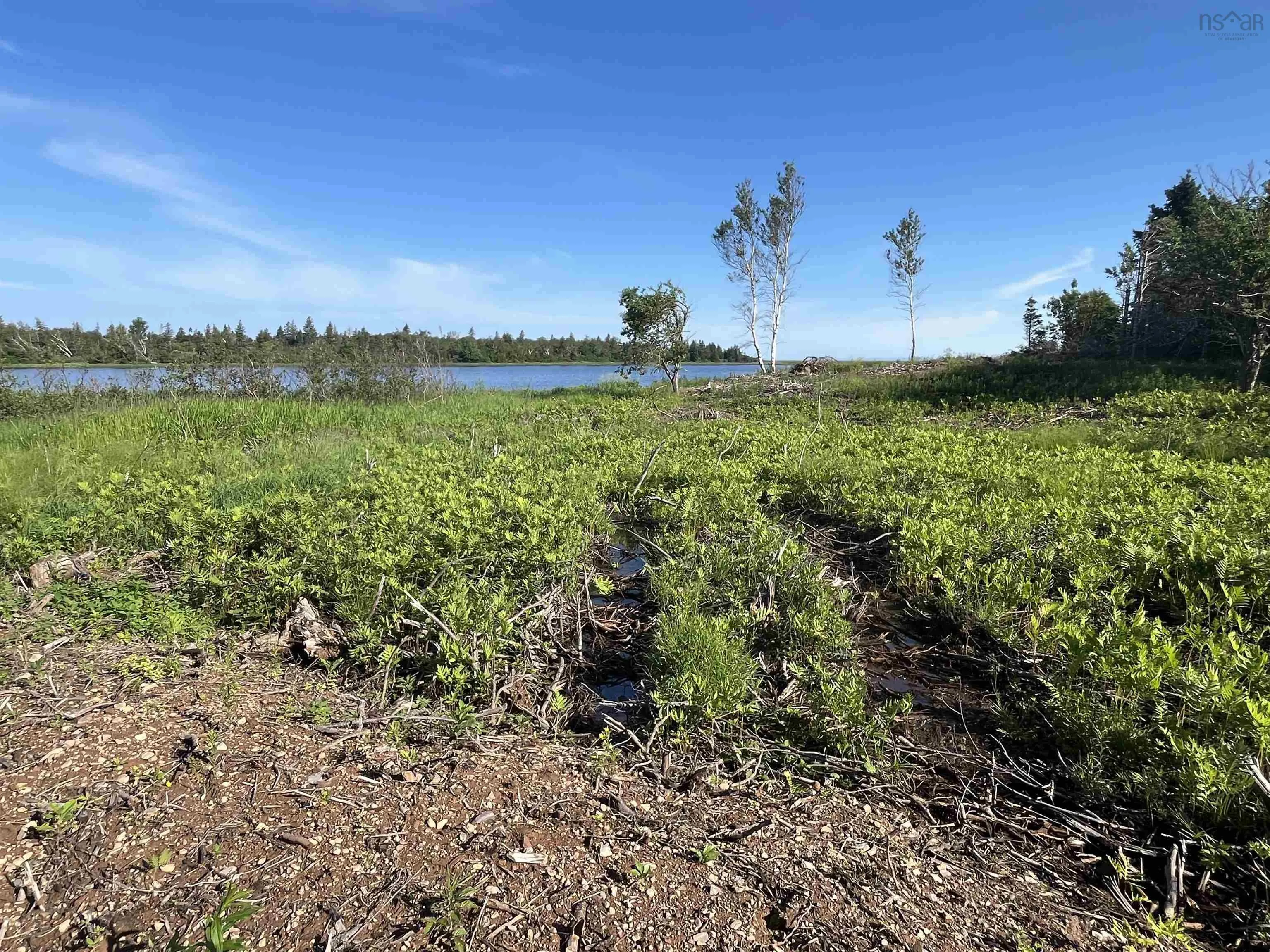Lot 11-1z Galt Pond Road, Lower Barneys River Ns B0k 1g0, ,Land,For Sale,Galt Pond,202505764