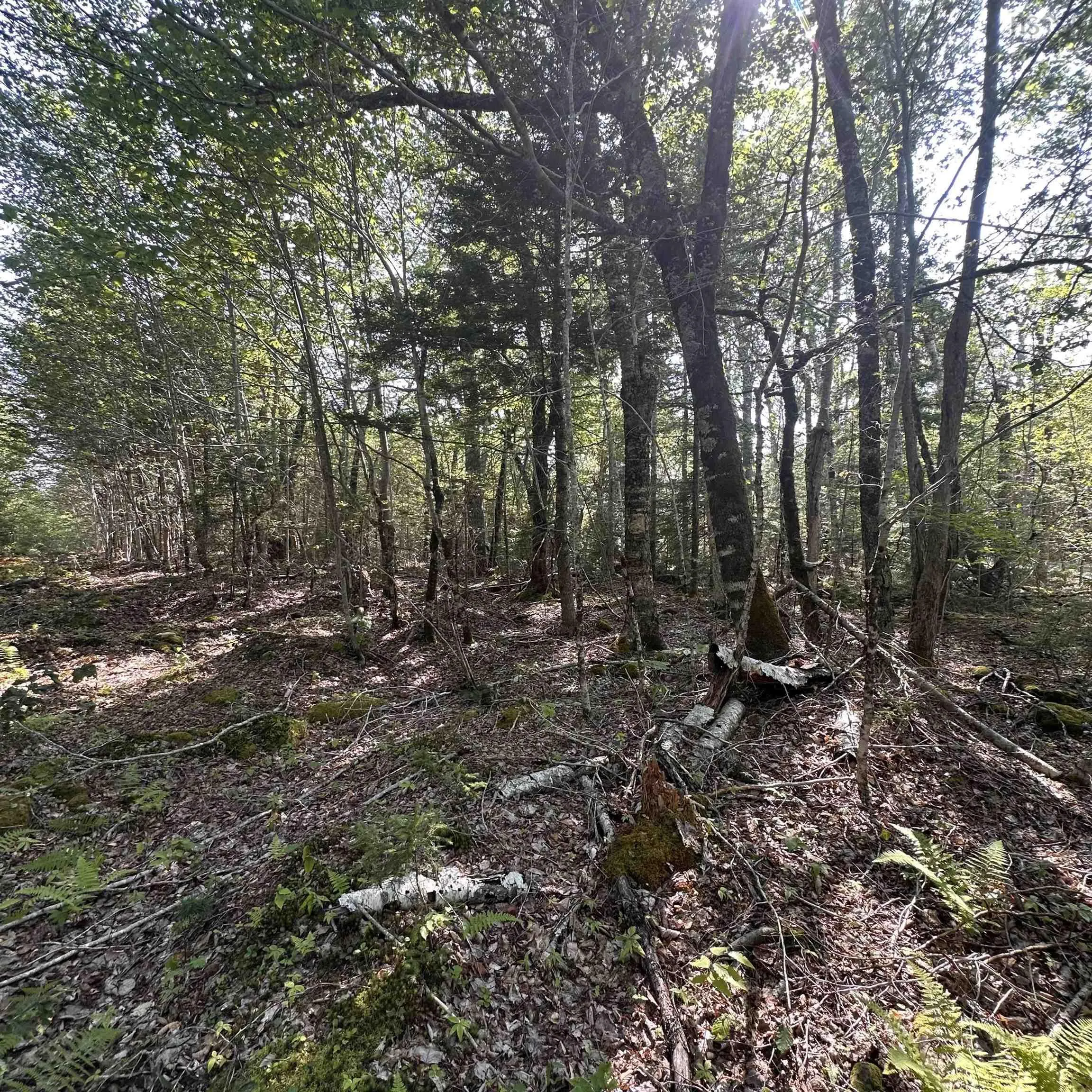 Island View Terrace Lot 49, Labelle, NS B0T 1E0, ,Land,For Sale,Island View,202517994