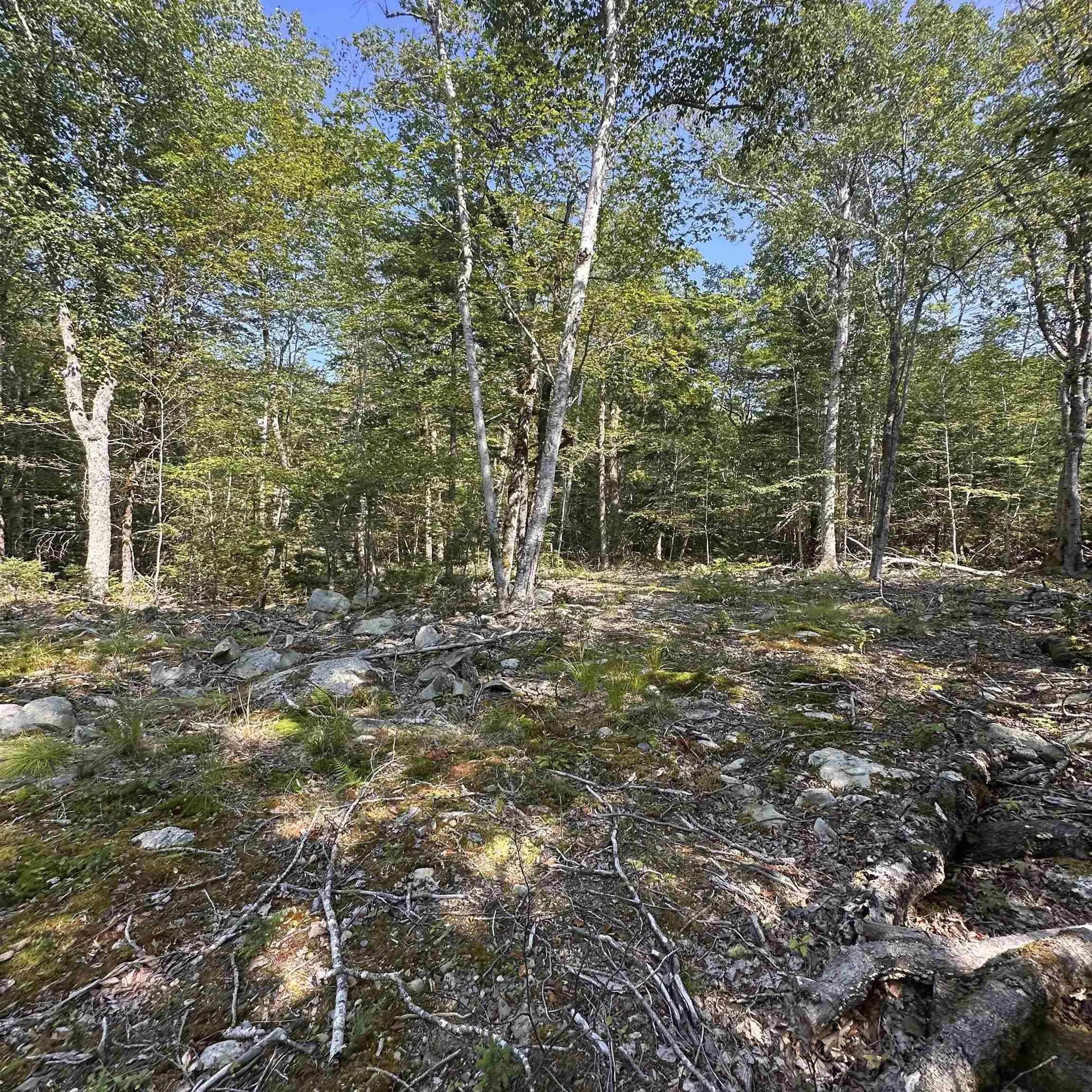 Island View Terrace Lot 49, Labelle, NS B0T 1E0, ,Land,For Sale,Island View,202517994