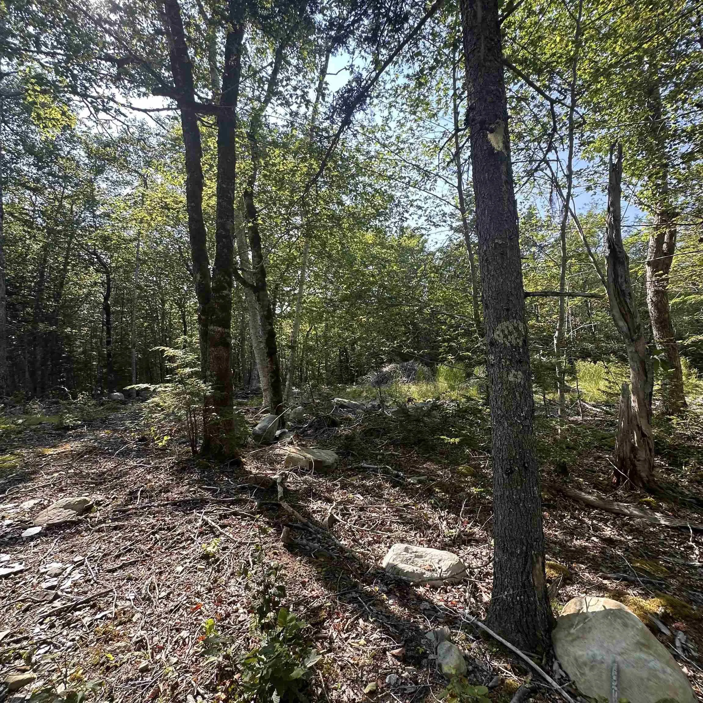 Island View Terrace Lot 49, Labelle, NS B0T 1E0, ,Land,For Sale,Island View,202517994