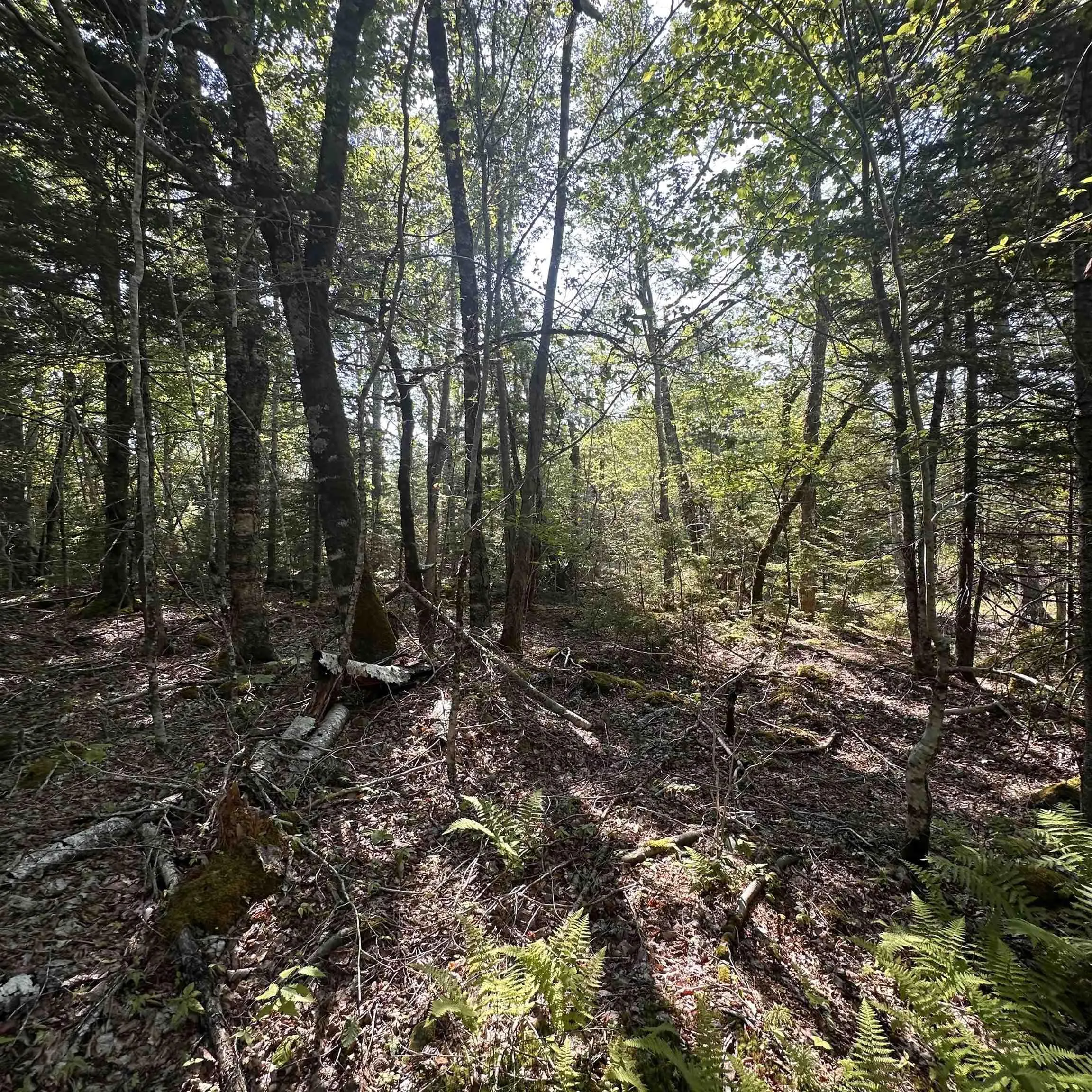 Island View Terrace Lot 49, Labelle, NS B0T 1E0, ,Land,For Sale,Island View,202517994