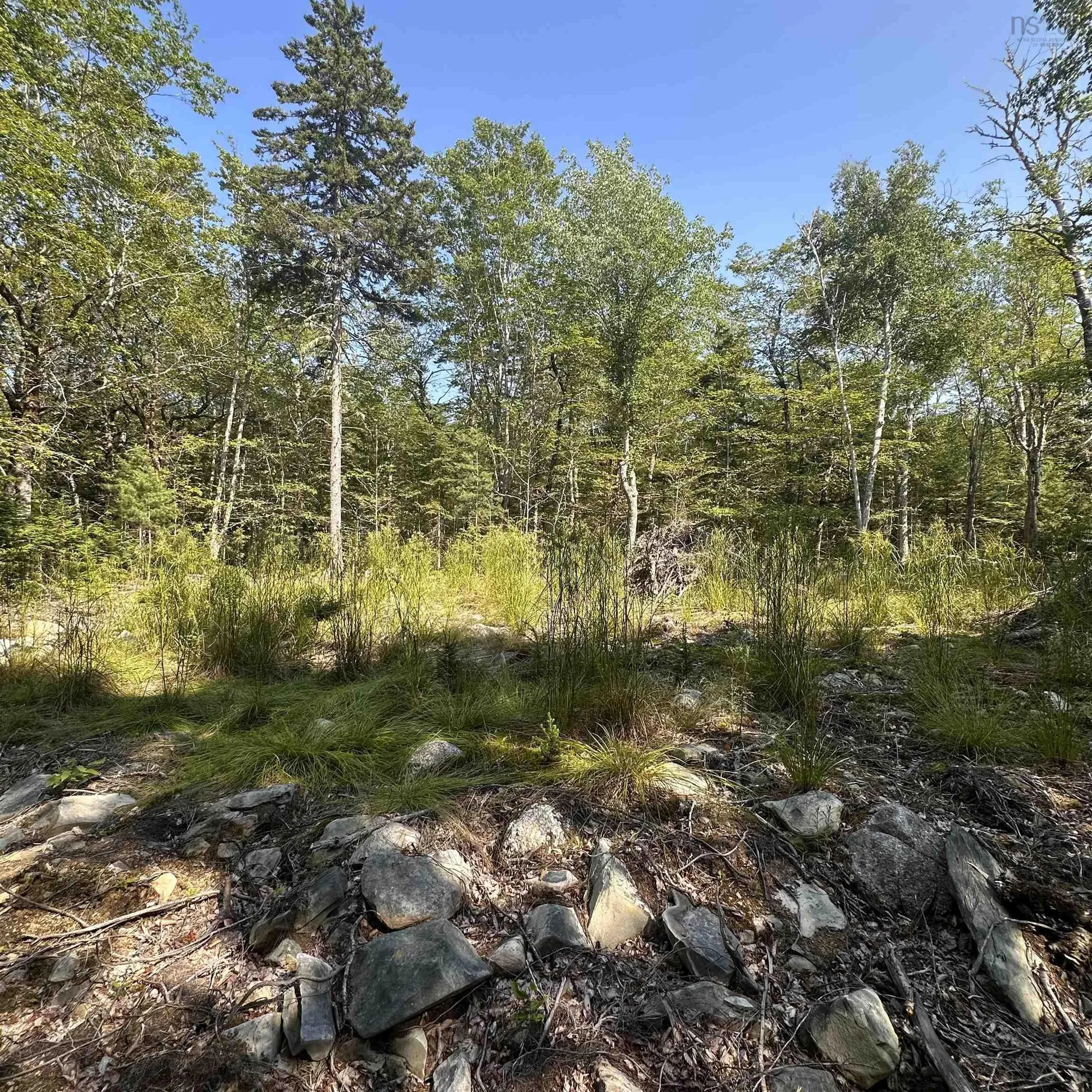 Island View Terrace Lot 49, Labelle, NS B0T 1E0, ,Land,For Sale,Island View,202517994
