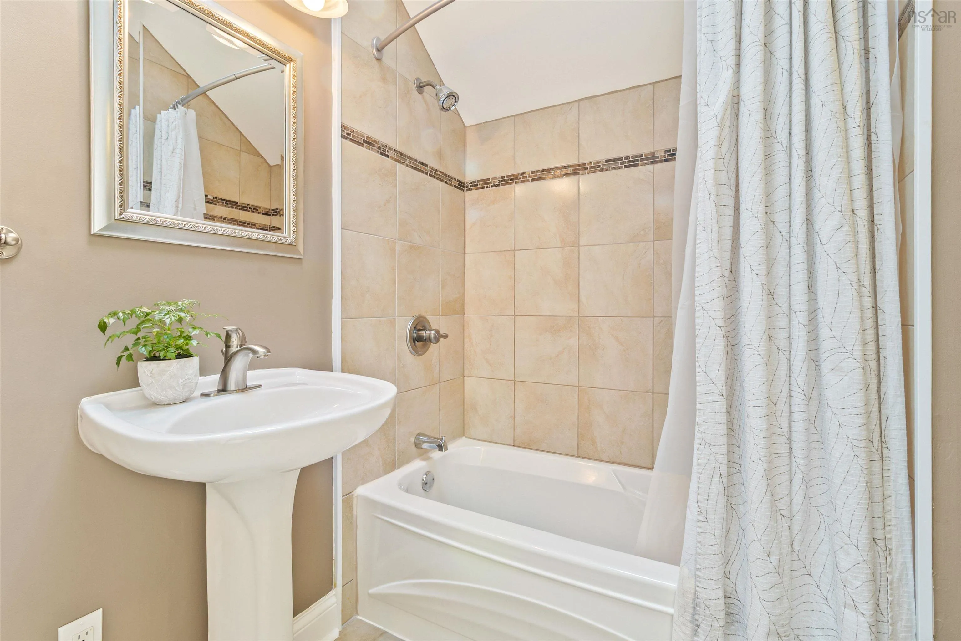 151 Pleasant Street, Dartmouth, NS B2Y 3P8, 3 Bedrooms Bedrooms, ,2 BathroomsBathrooms,Residential,For Sale,Pleasant,202519891